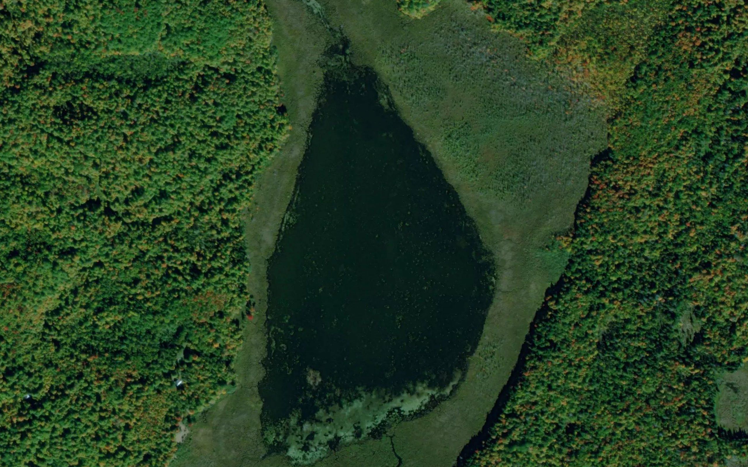 McDougalls Mud Lake