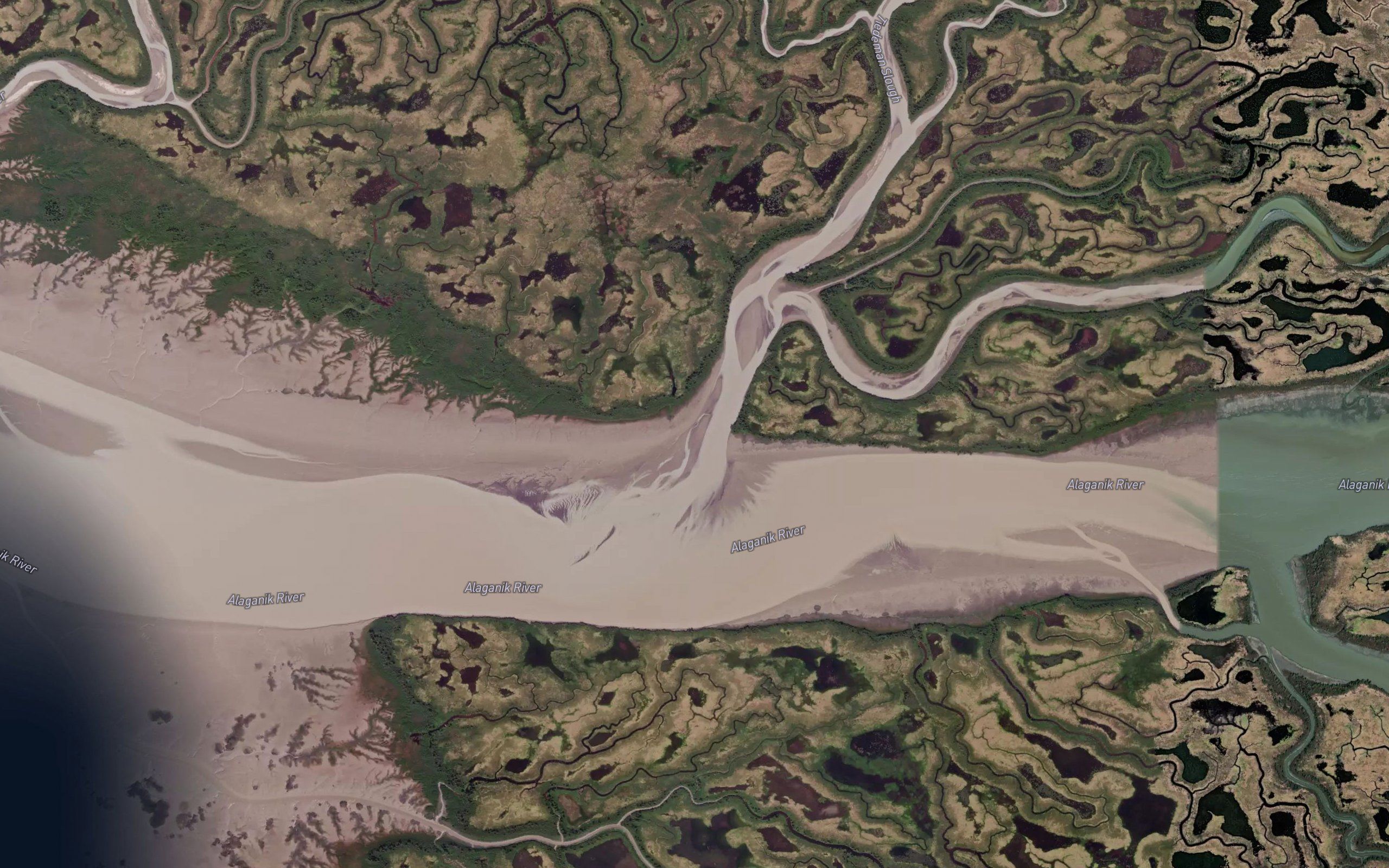 Tiedeman Slough
