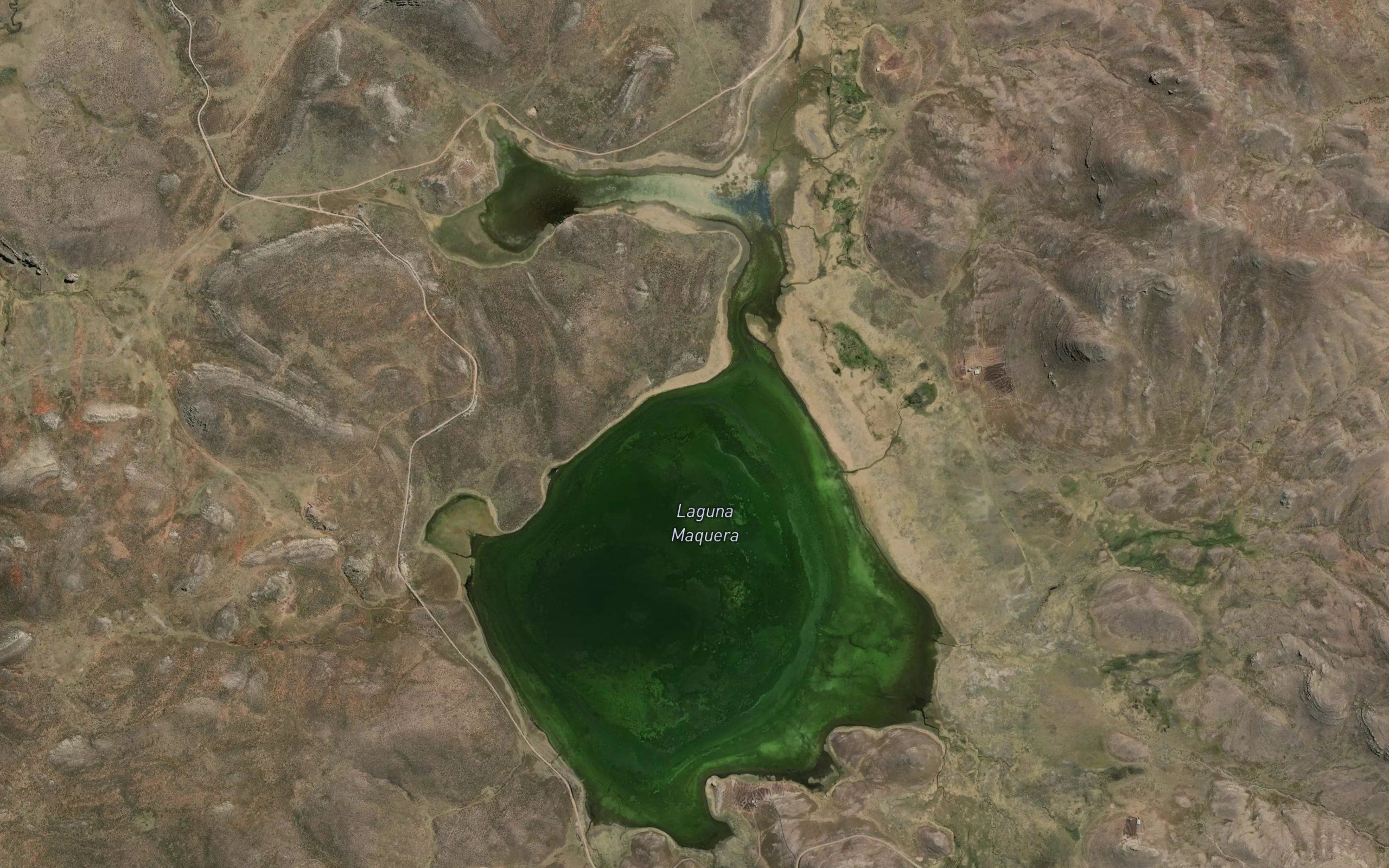 Laguna Maquera