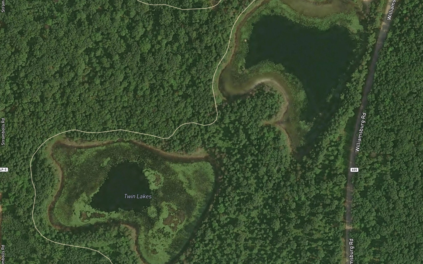 Satellite map of the Twin Lakes