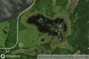 Mud Lake