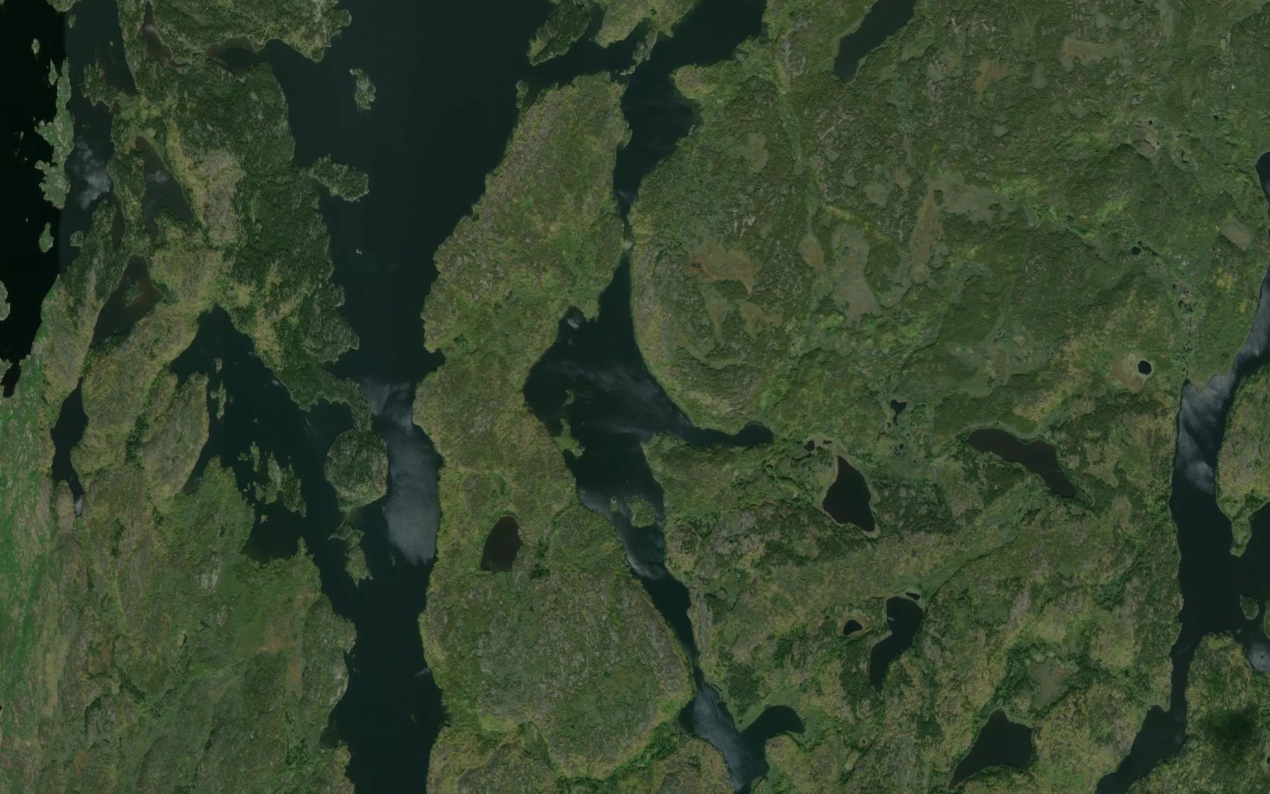 Satellite map of the Waddell Bay