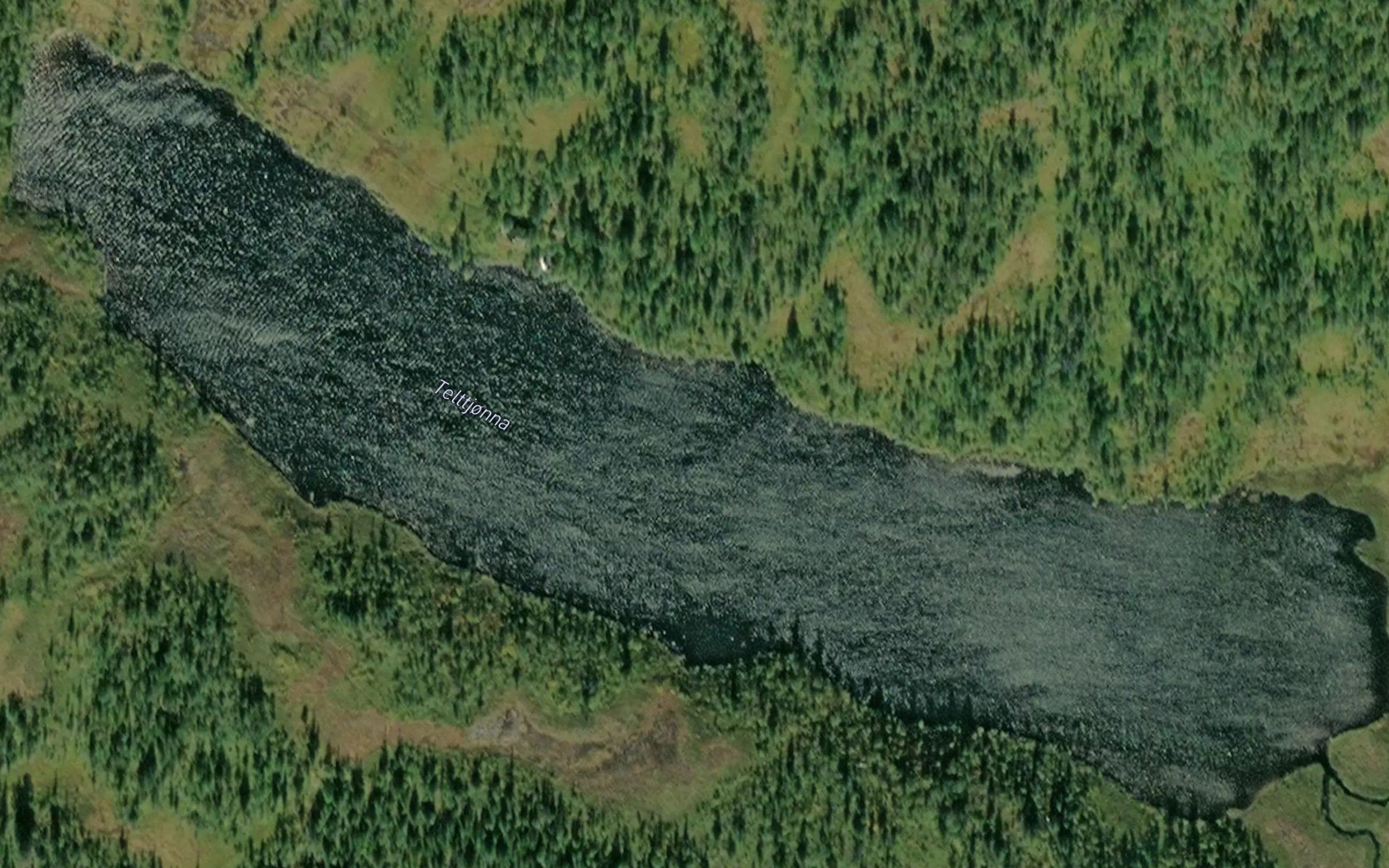 Telttjorna