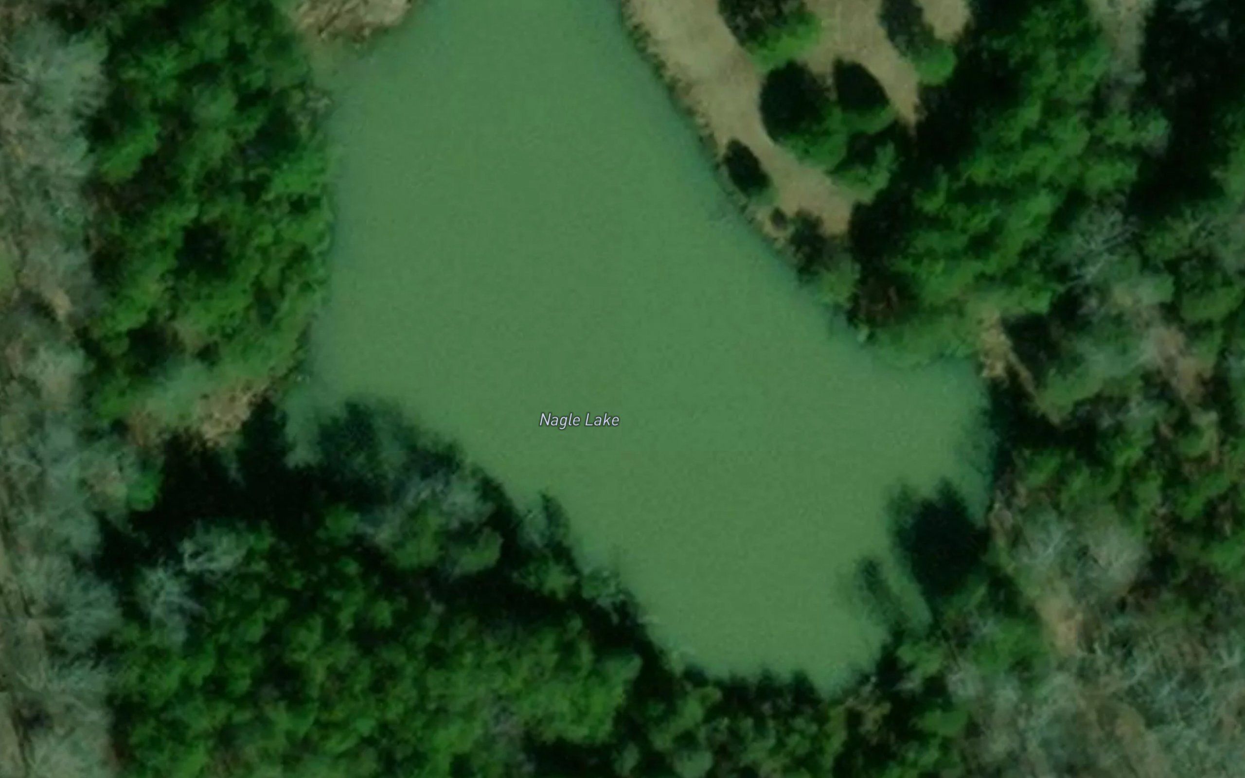 Nagle Lake