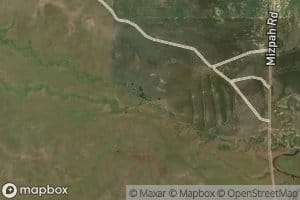 Nest Creek