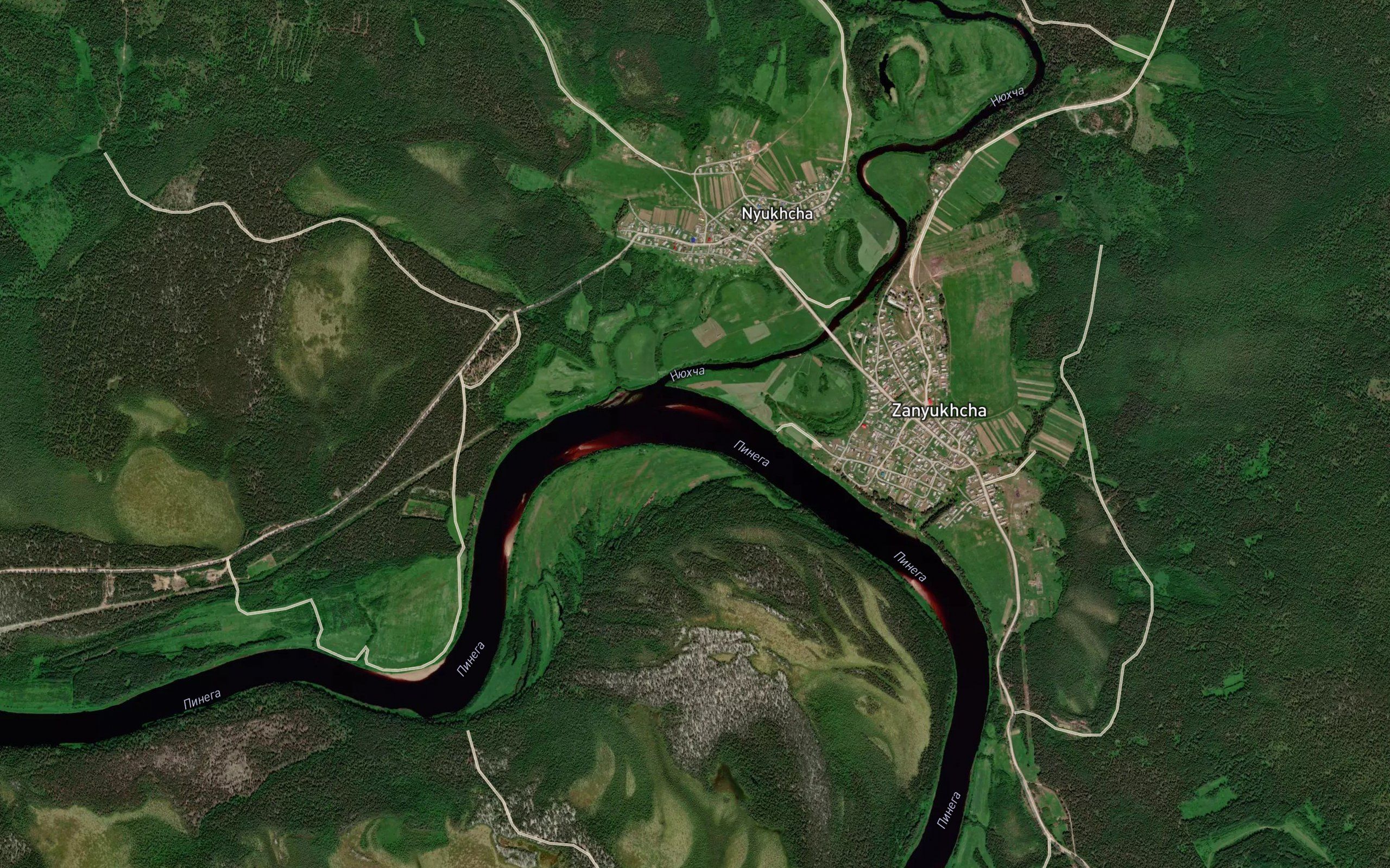 Nyukhcha