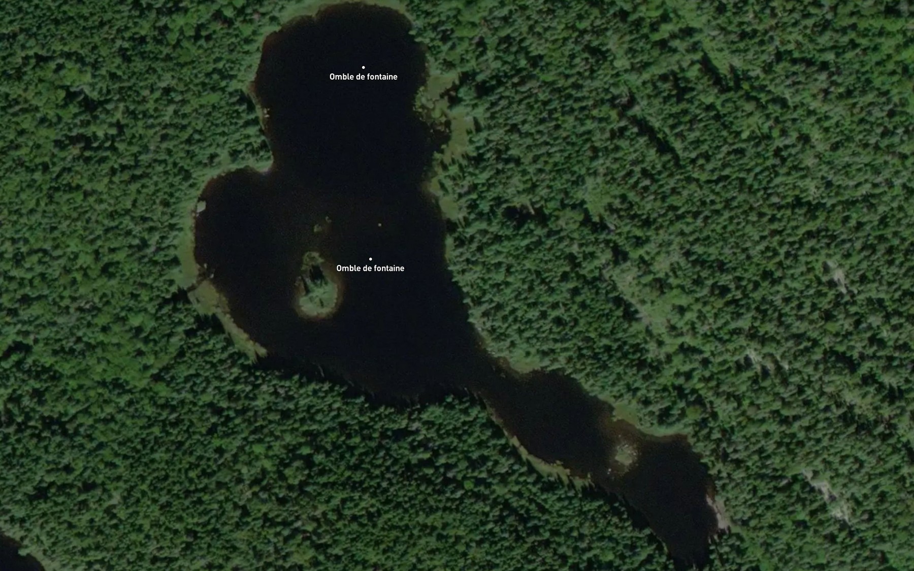 Satellite map of the Lac de la Daraise