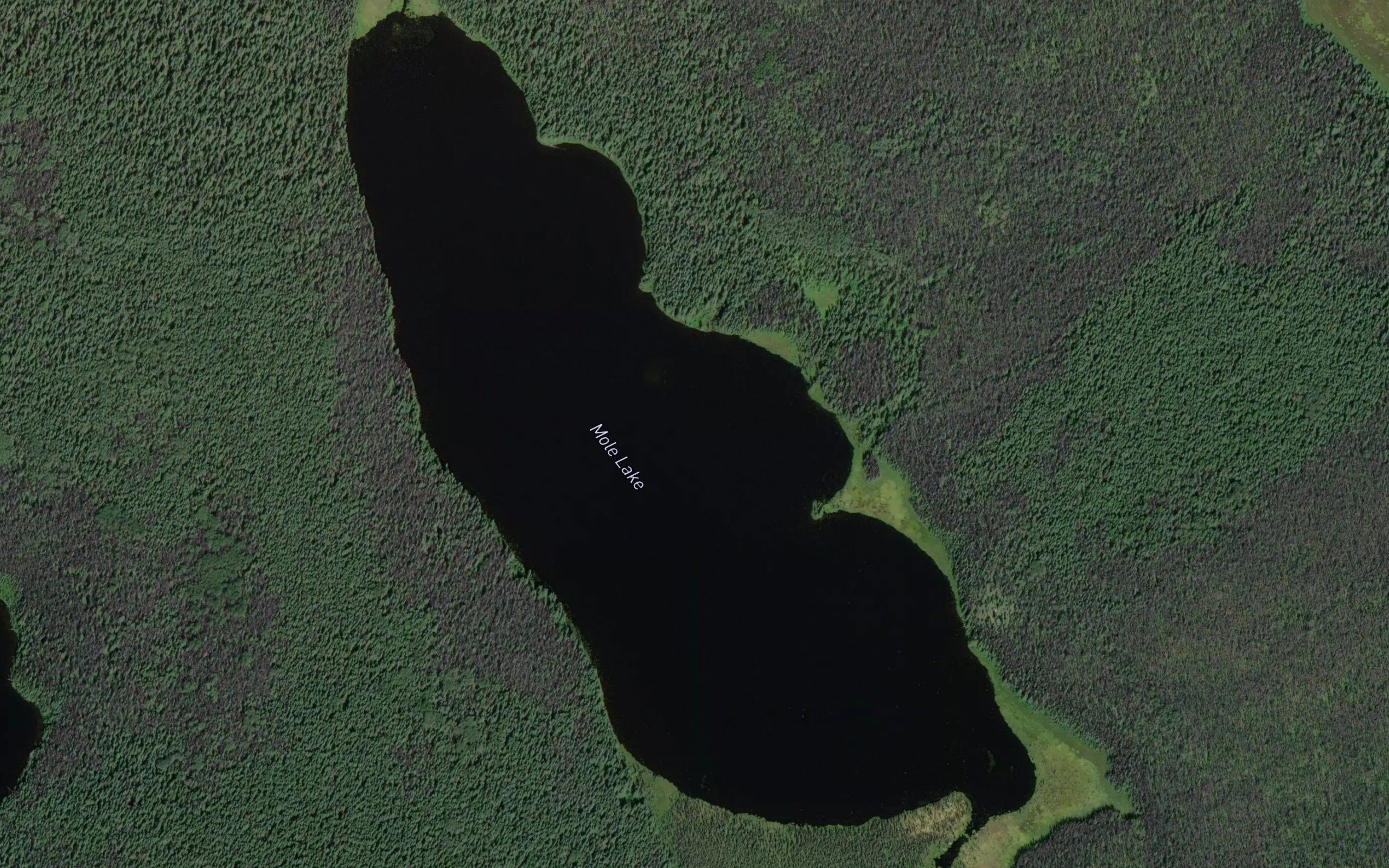 Mole Lake