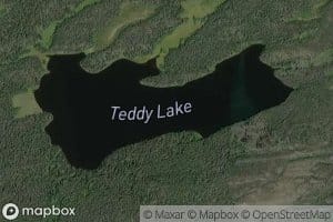 Teddy Lake