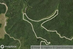 Dog Fork