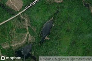 Lac Donovan
