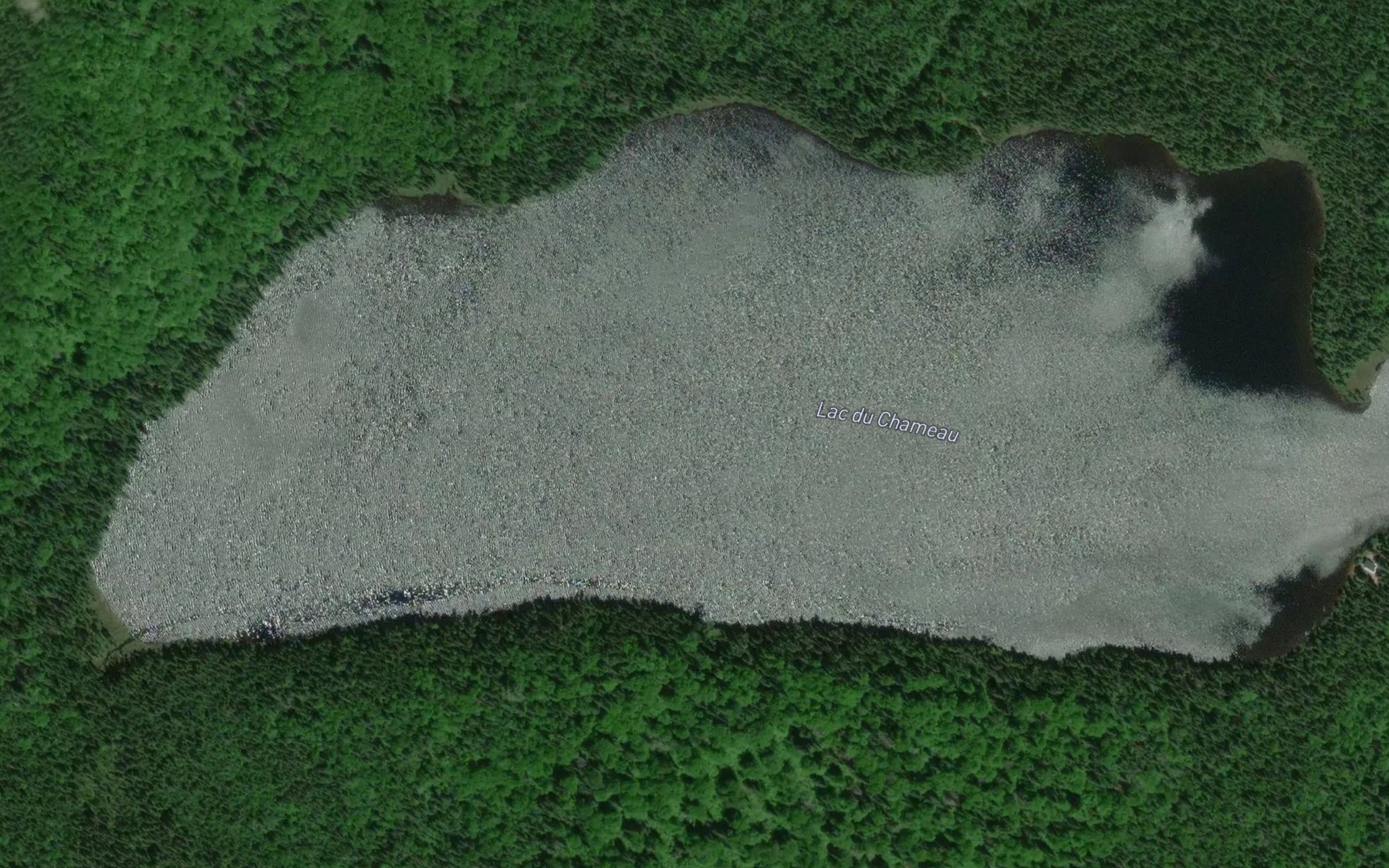Satellite map of the Lac du Chameau