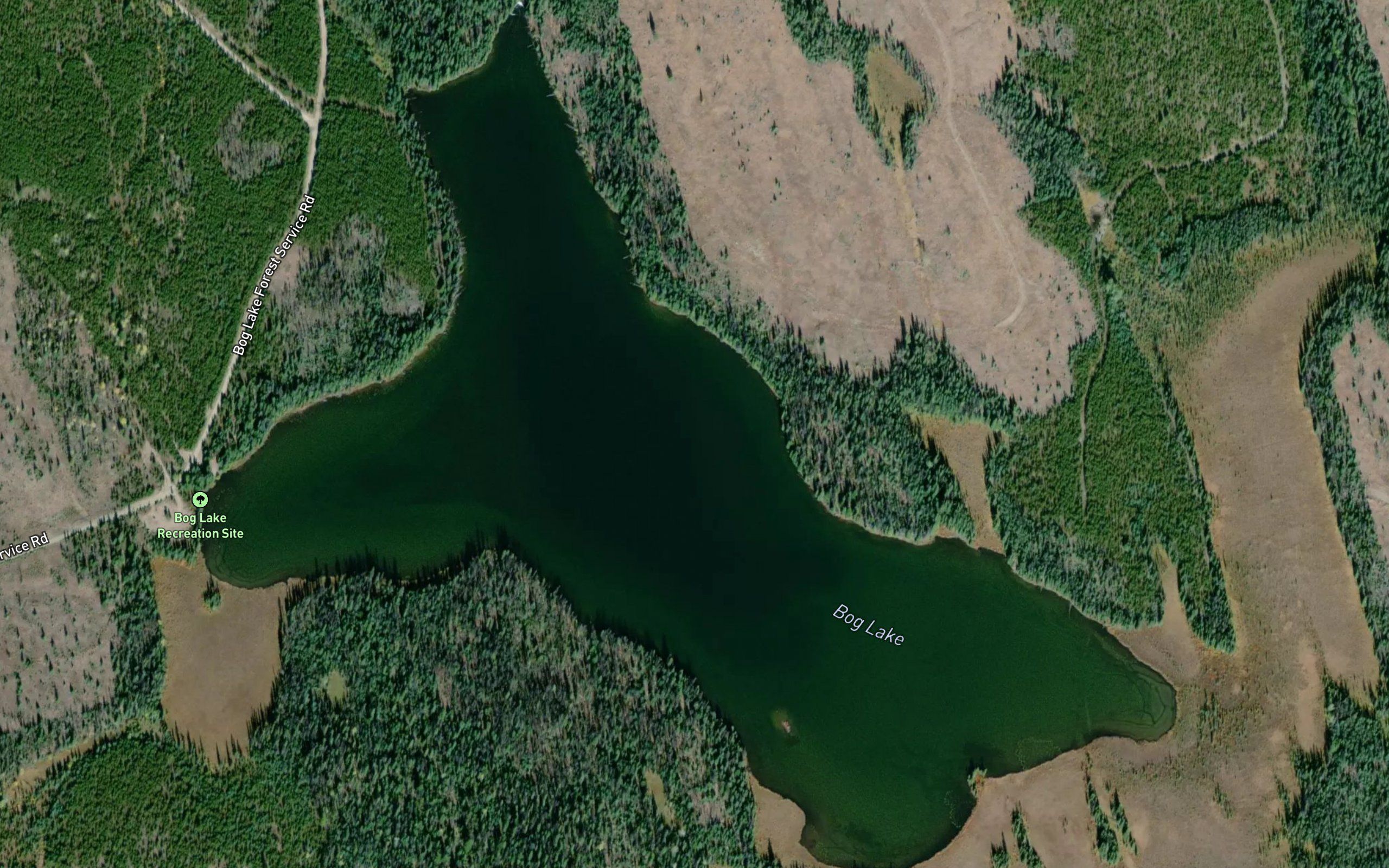 Bog Lake