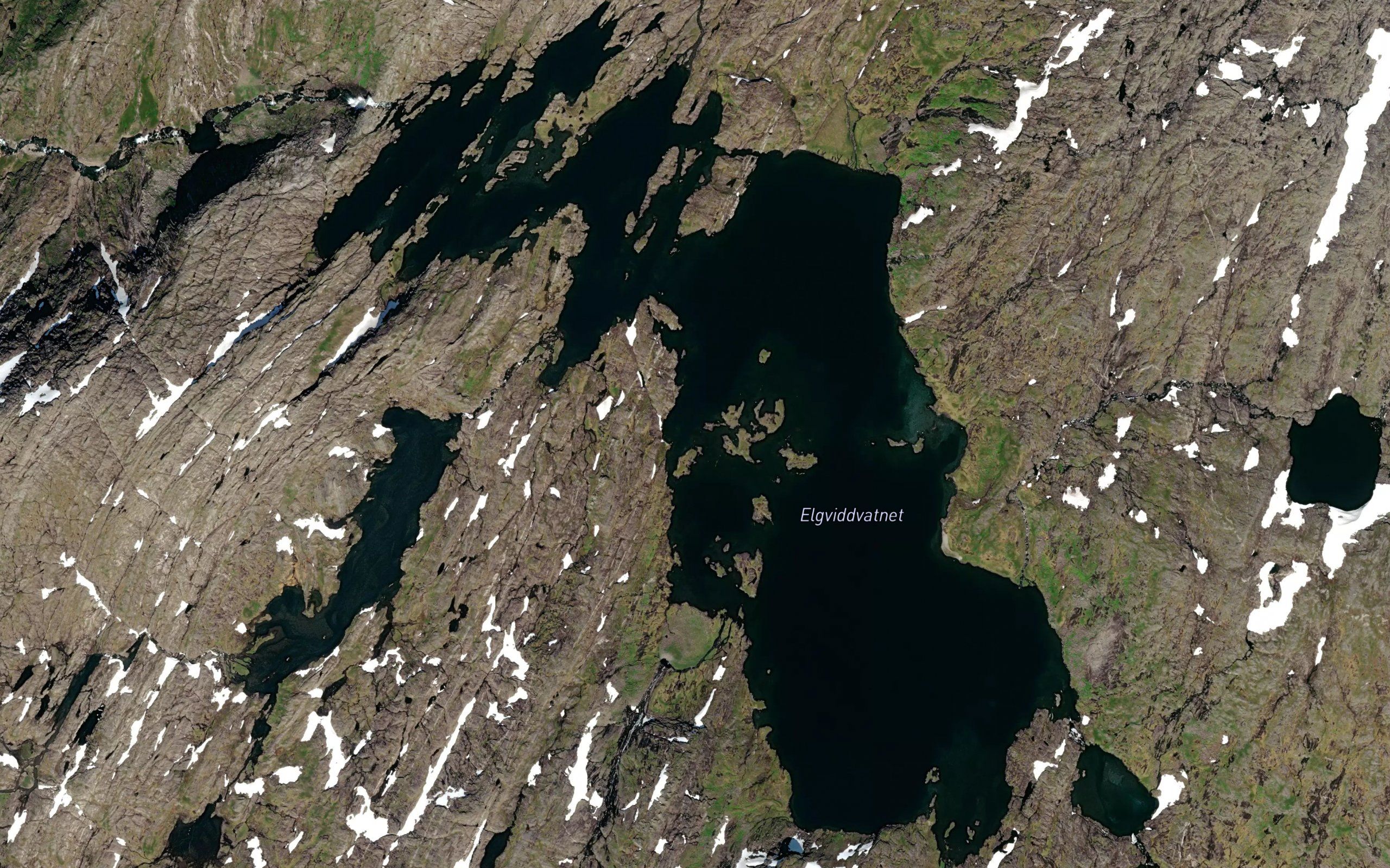 Elgviddvatnet