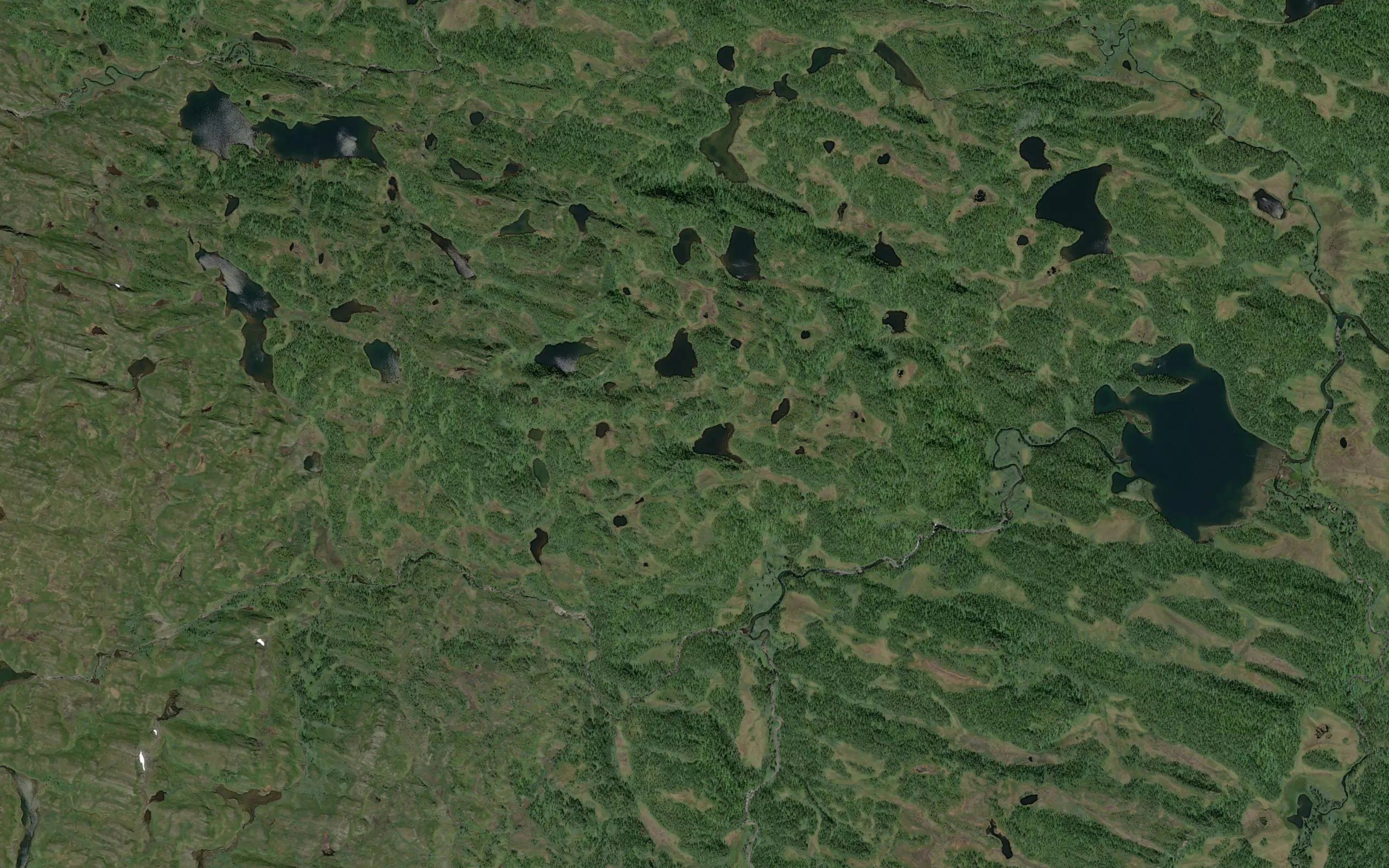 Njasatsjokk