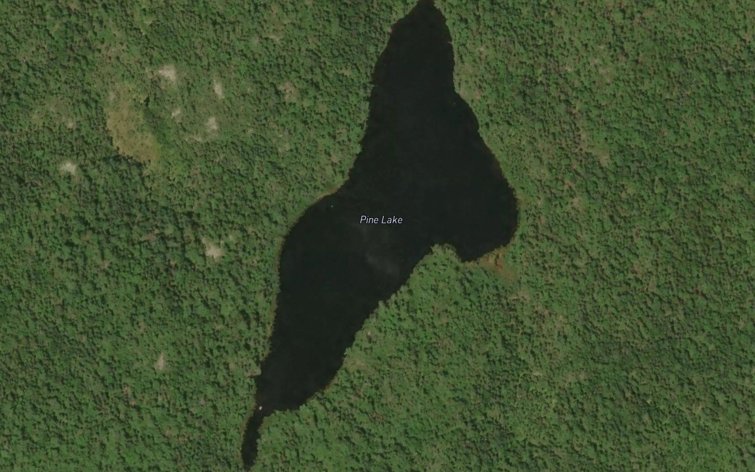 Pine Lake