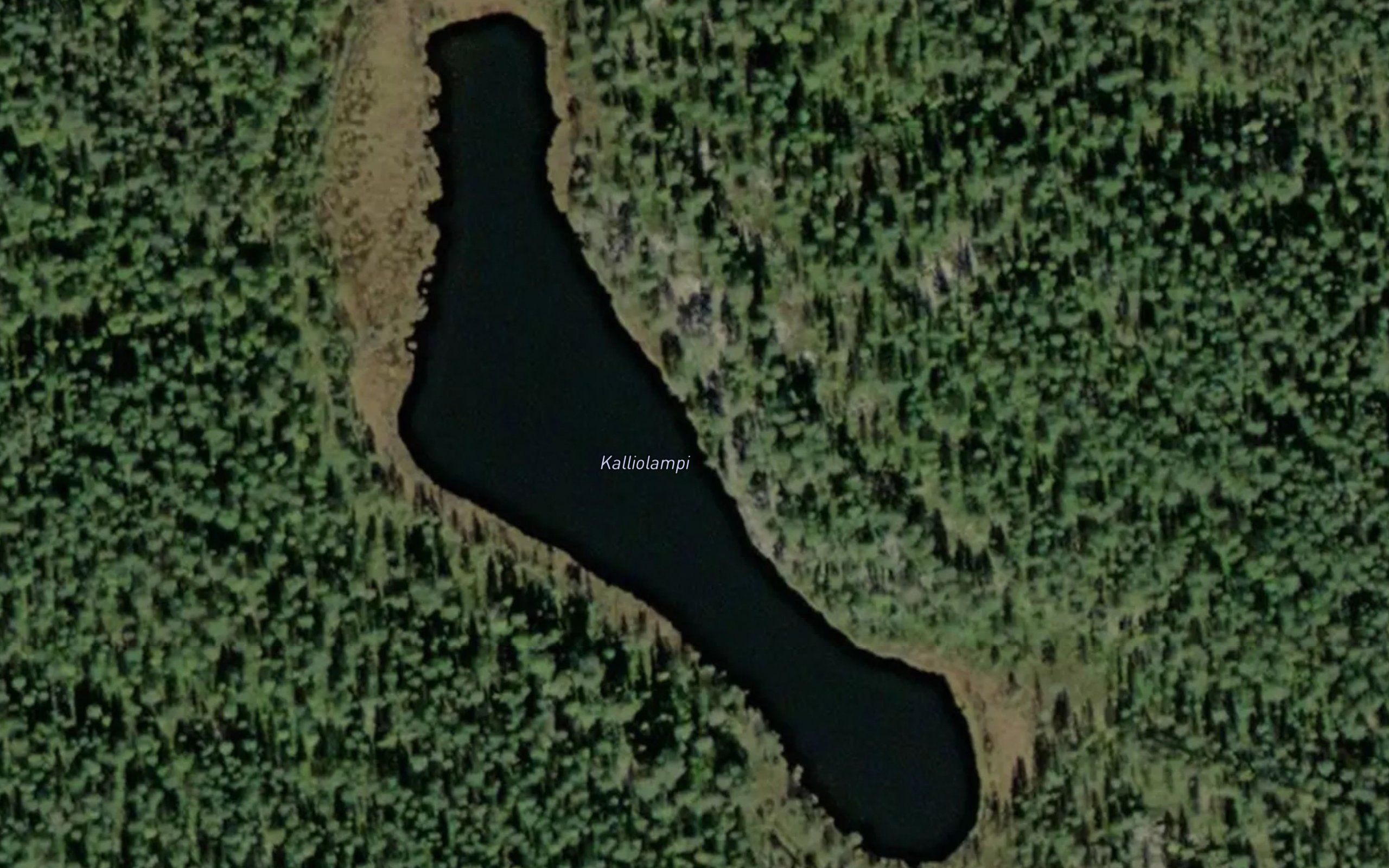Kalliolampi