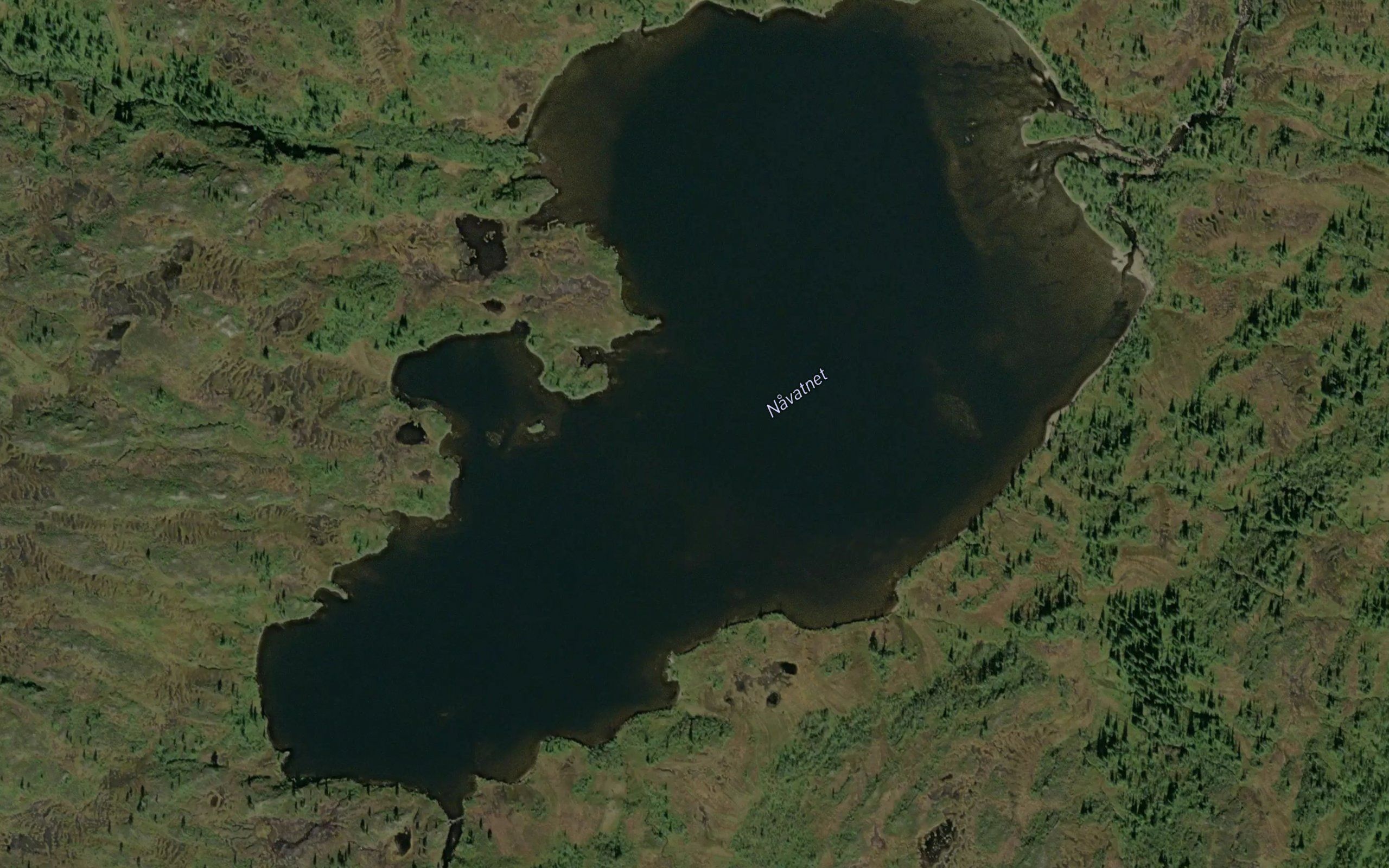Navatnet