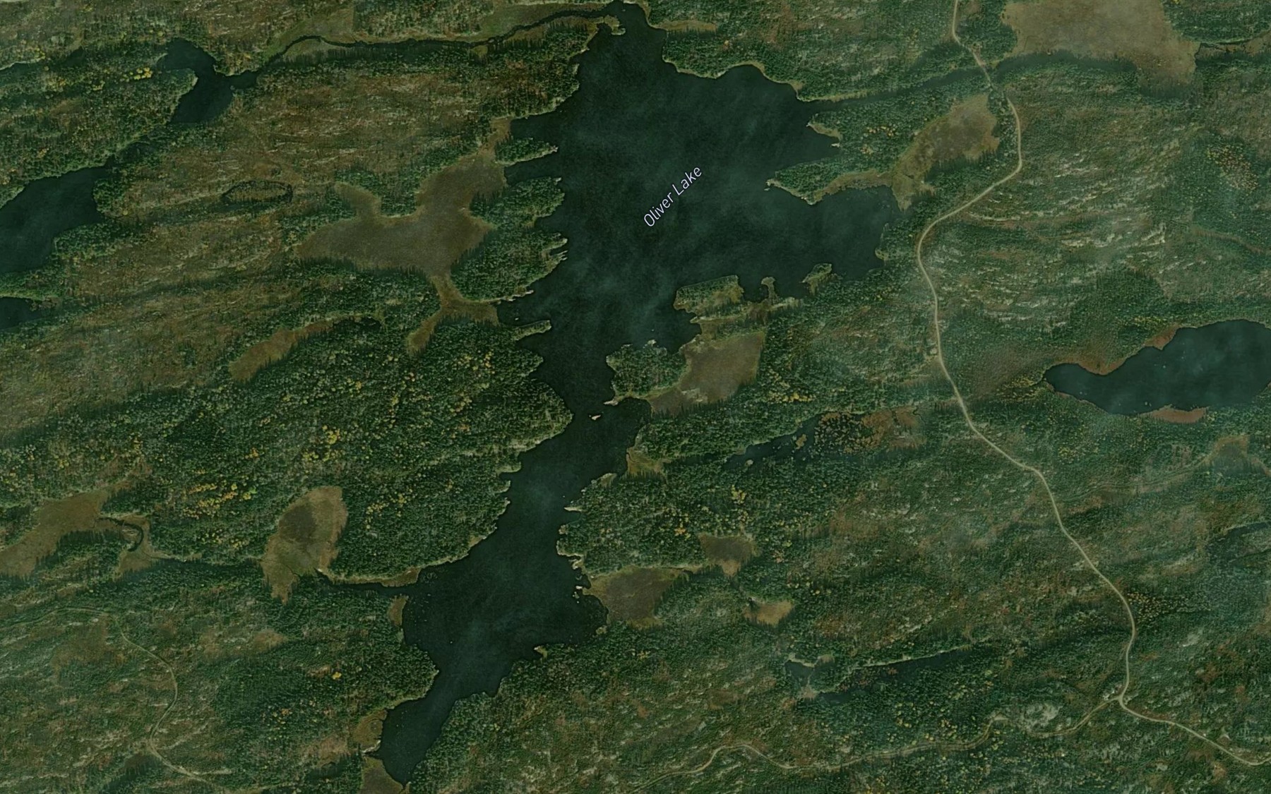 Satellite map of the Oliver Lake