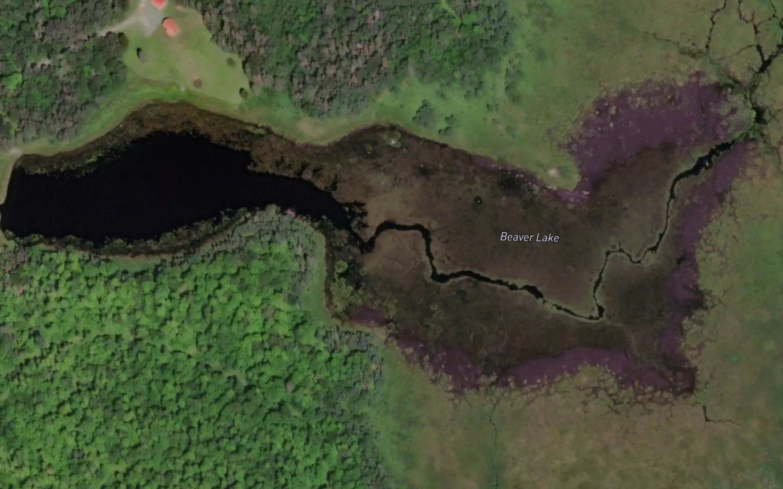 Beaver Lake