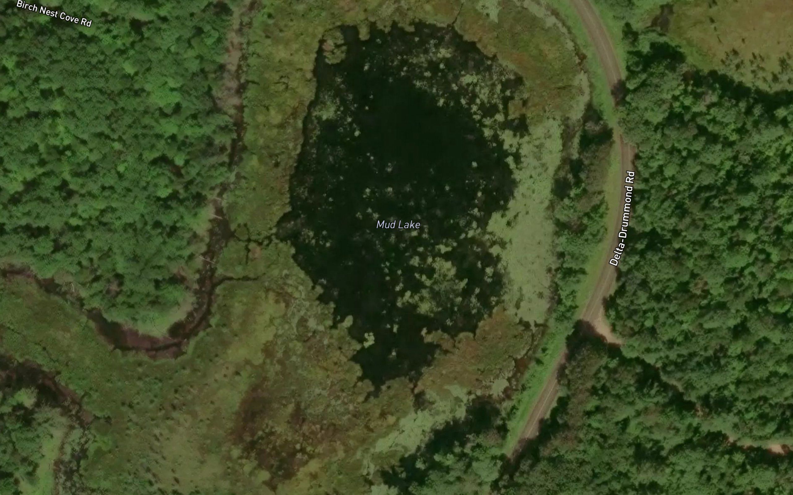 Mud Lake