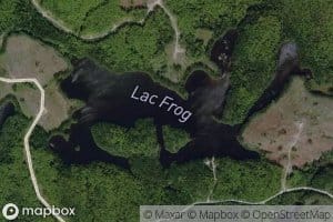 Lac Frog