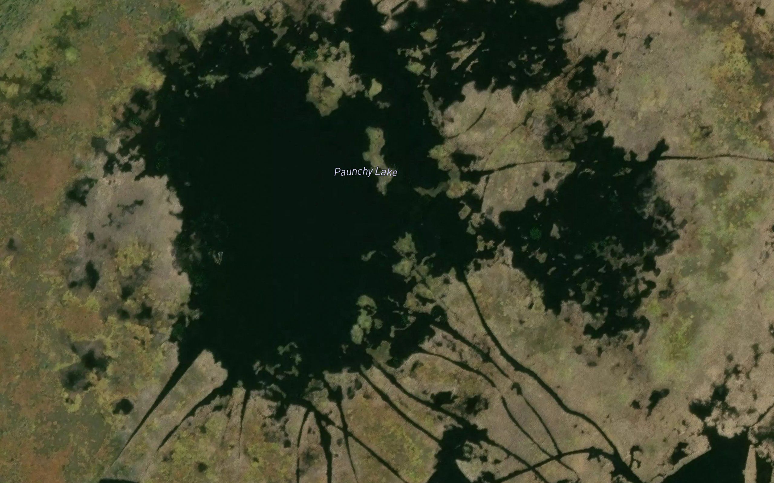Paunchy Lake
