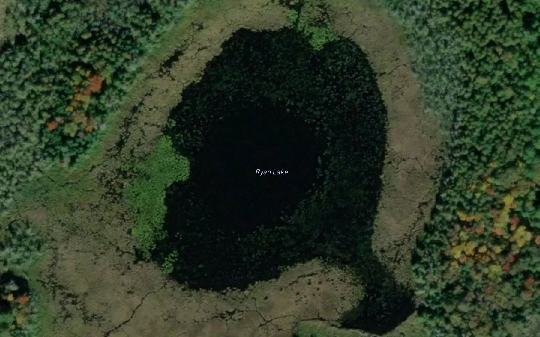 Satellite map of the Ryan Lake