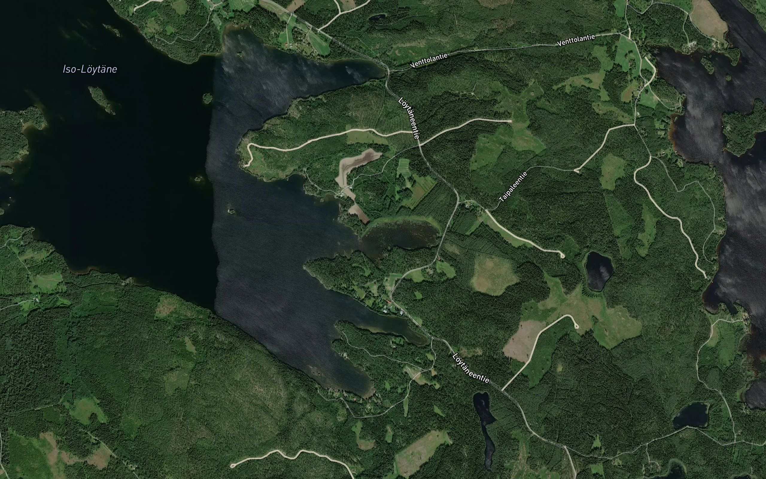 Sammalinen