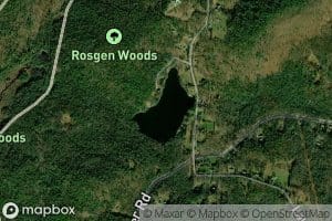 Winchester Club Pond