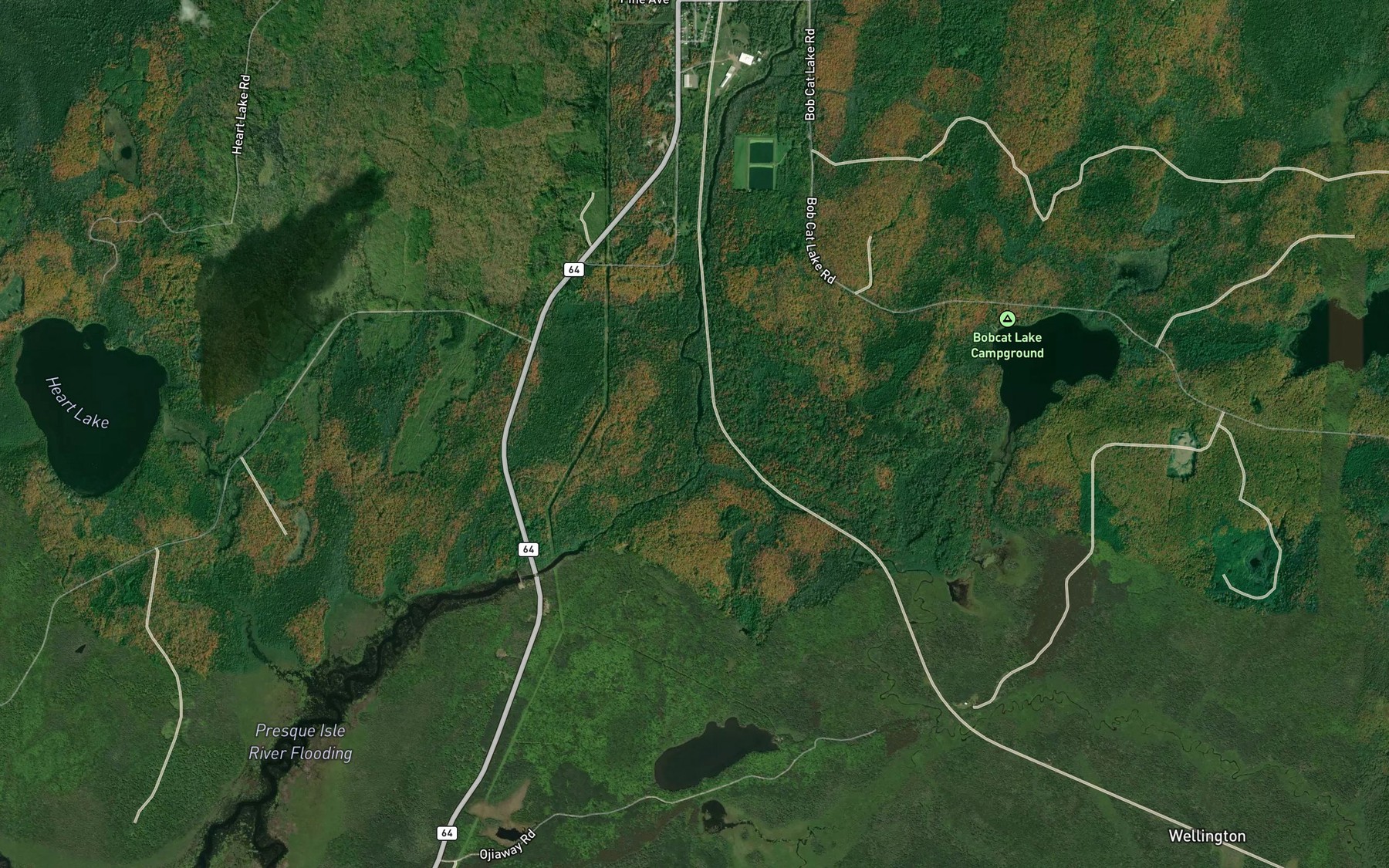 Satellite map of the East Branch Presque Isle River