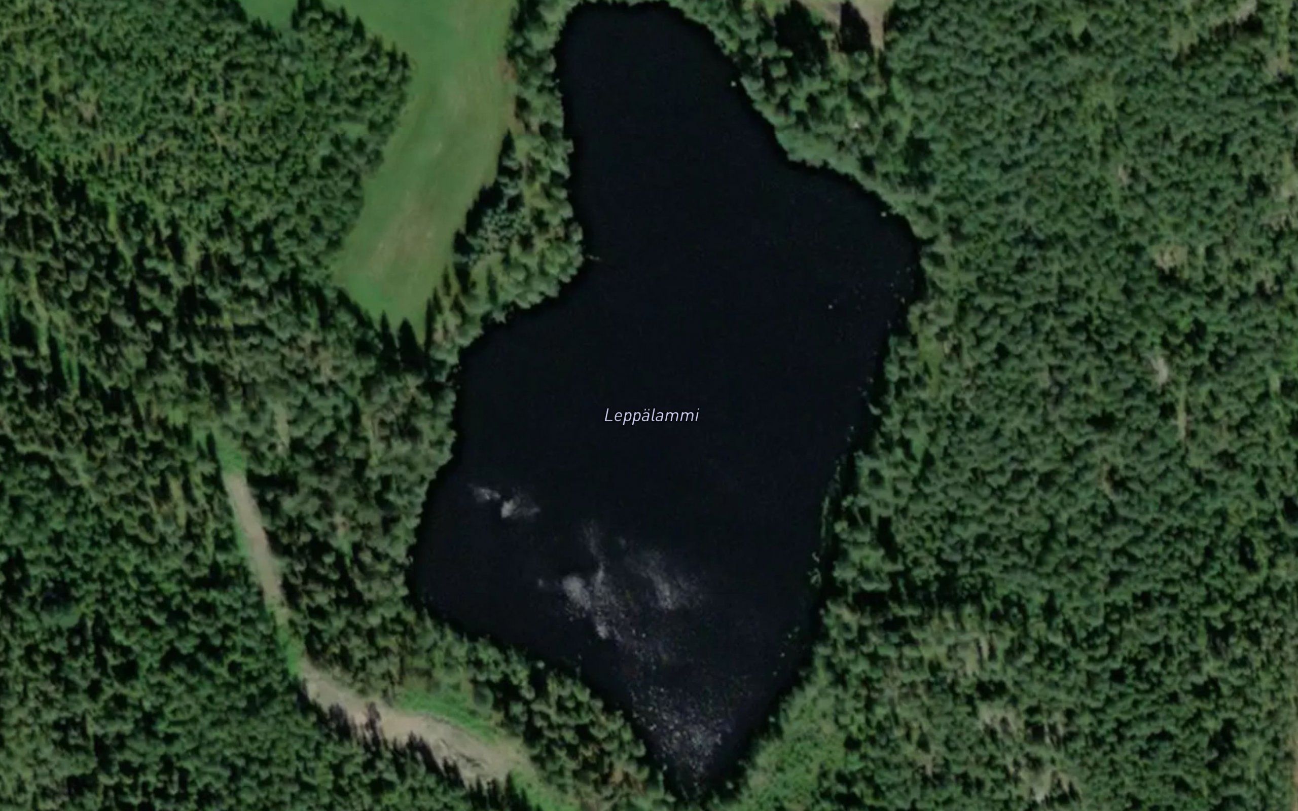 Leppalammi