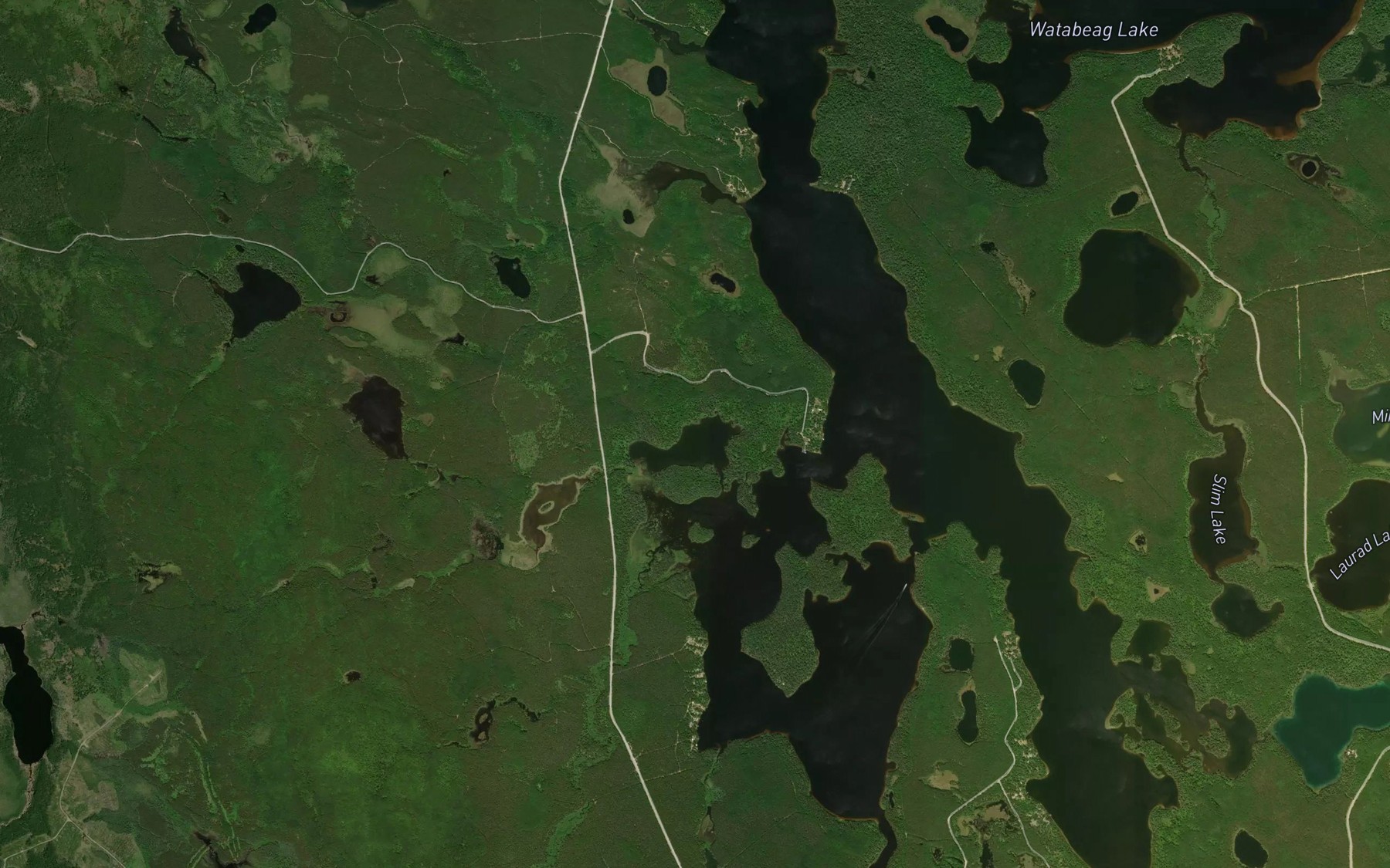 Satellite map of the Leziert Creek