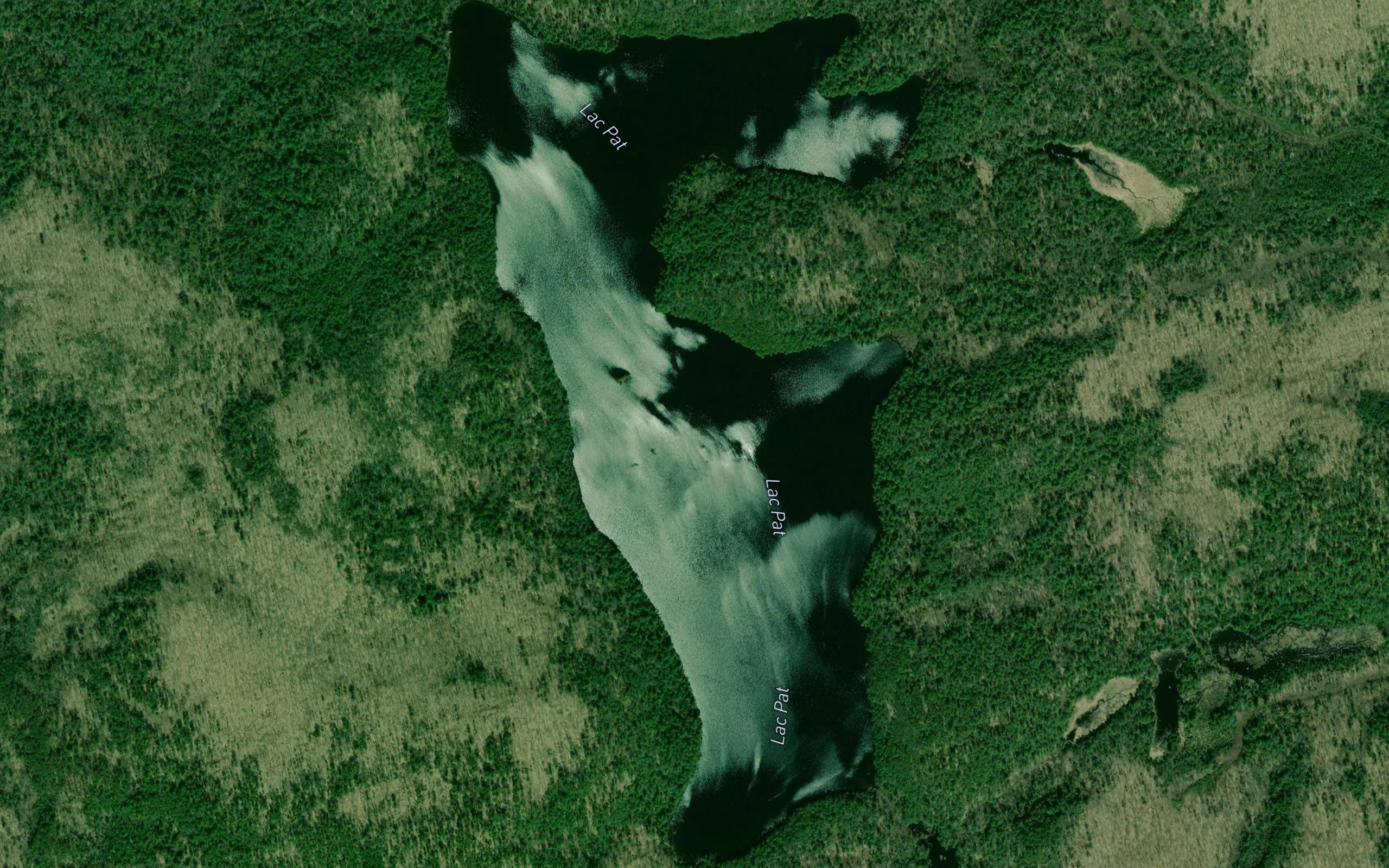 Lac Pat