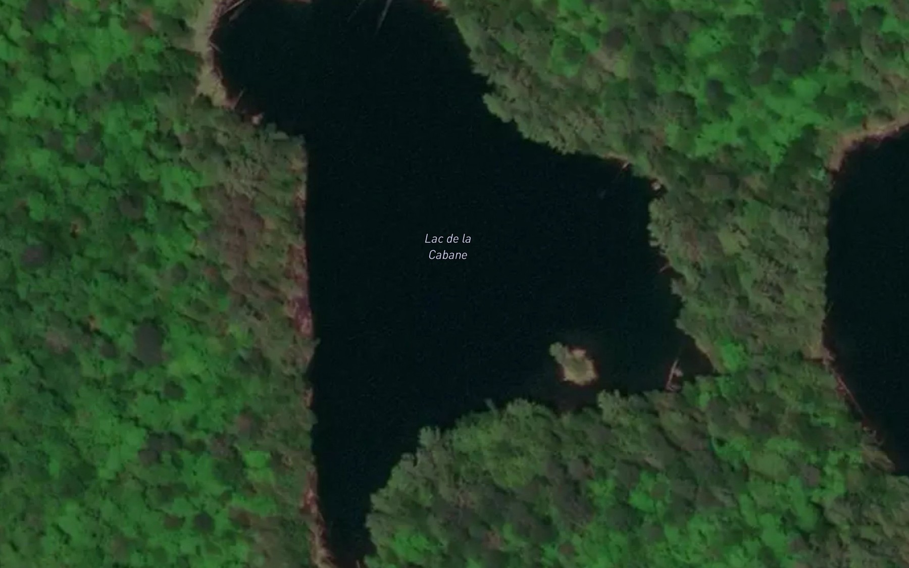 Satellite map of the Lac de la Cabane