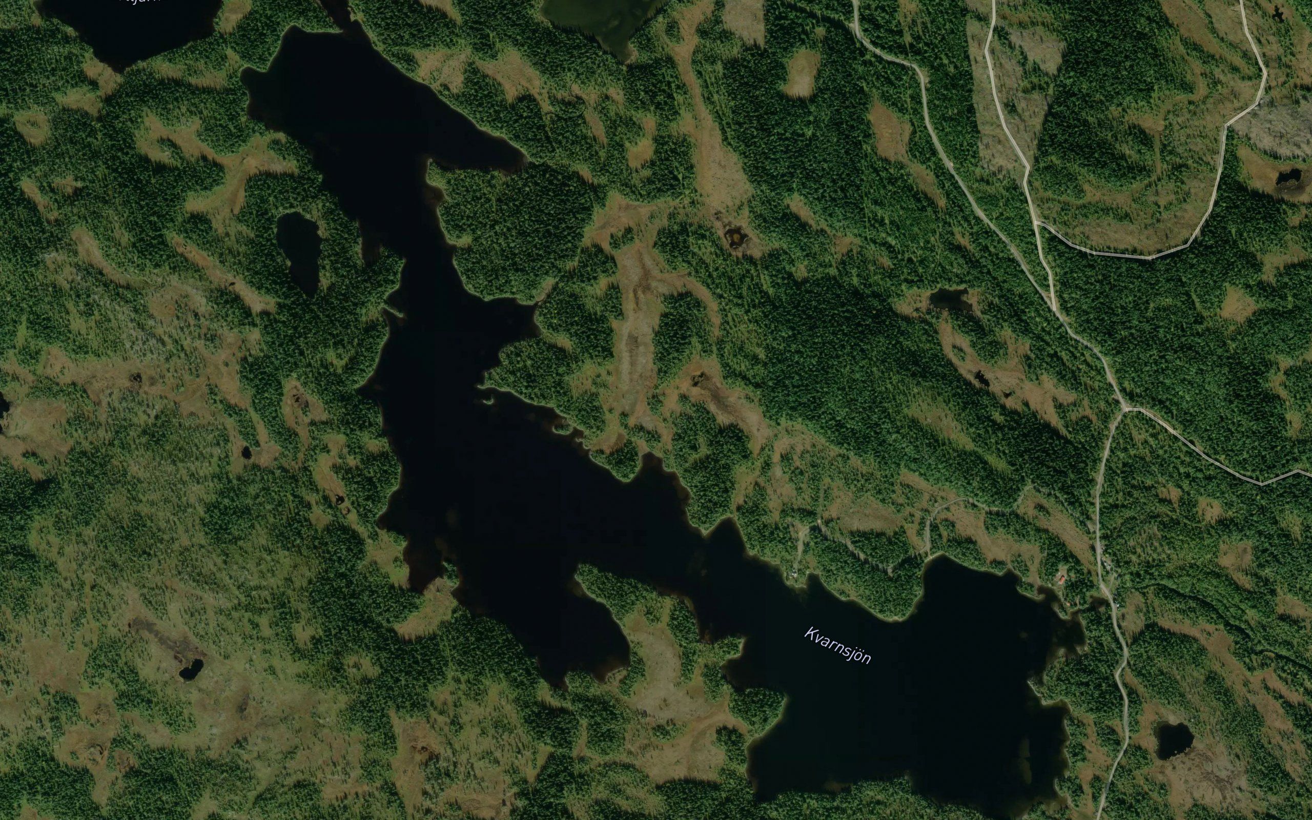 Kvarnsjon