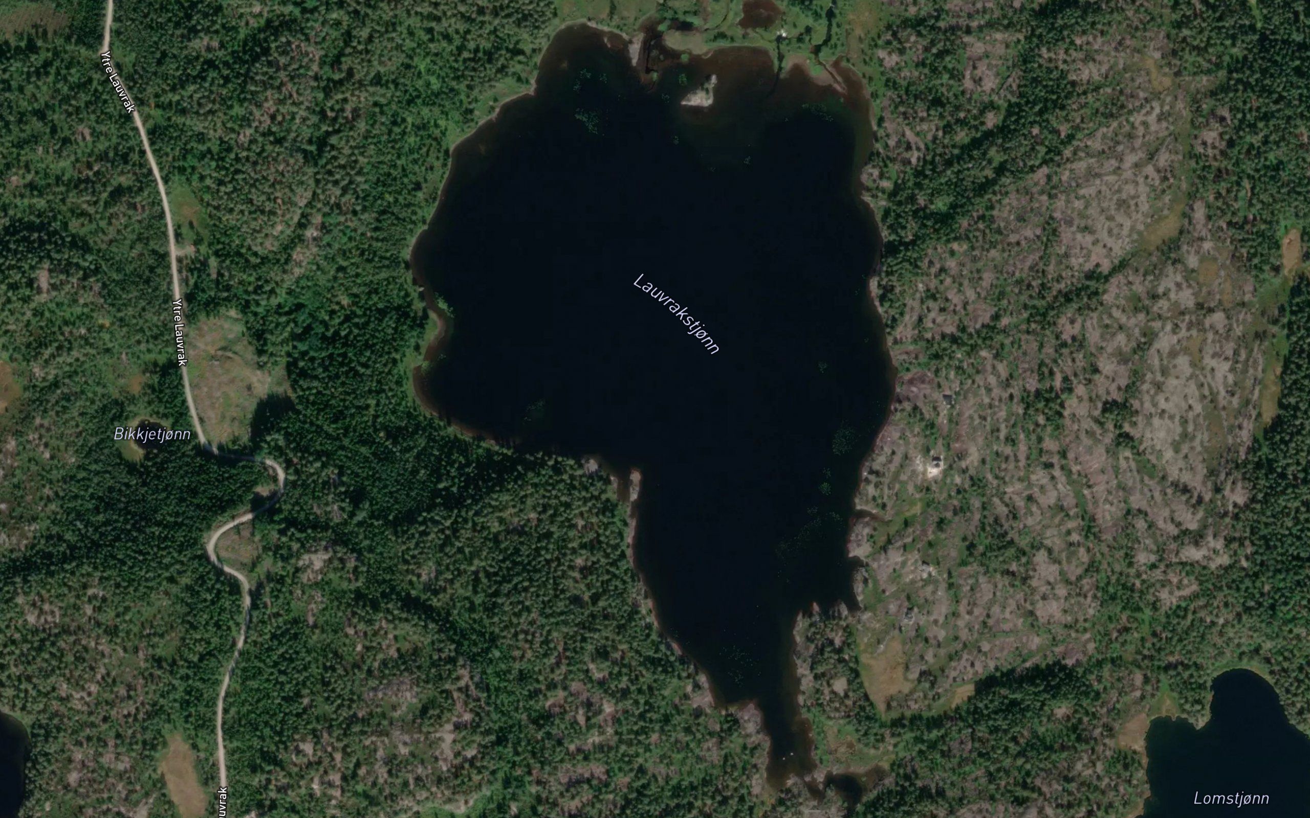 Lauvrakstjorna