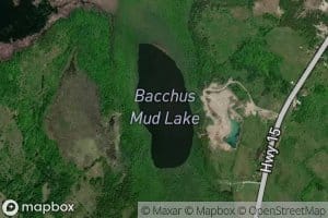 Bacchus Mud Lake