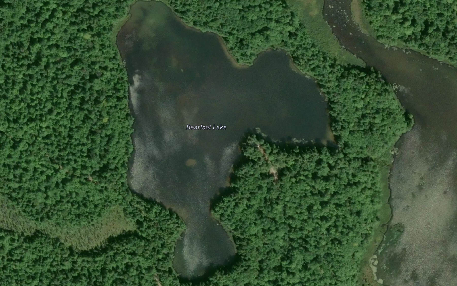 Satellite map of the Bearfoot Lake
