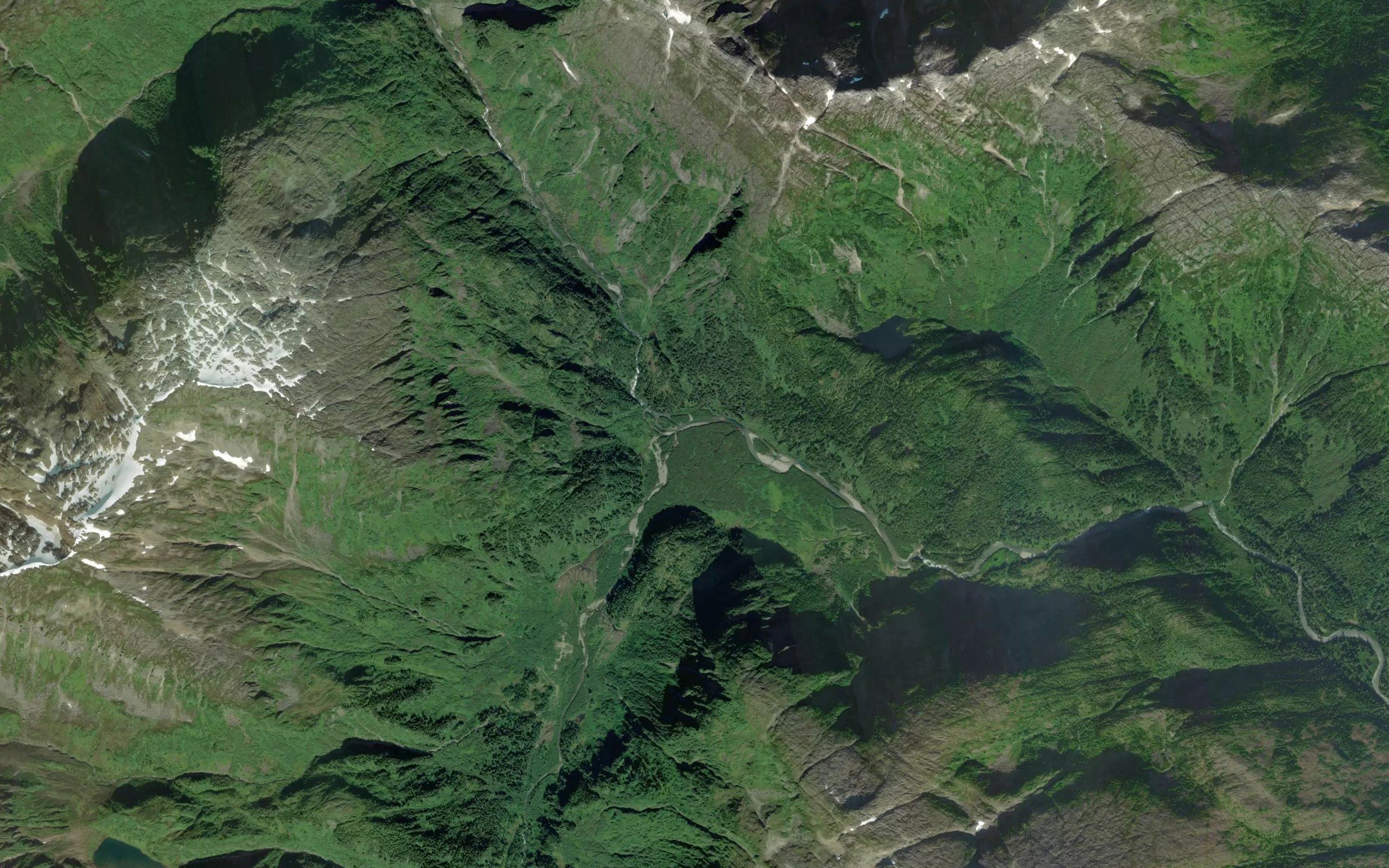 Sheep Fork