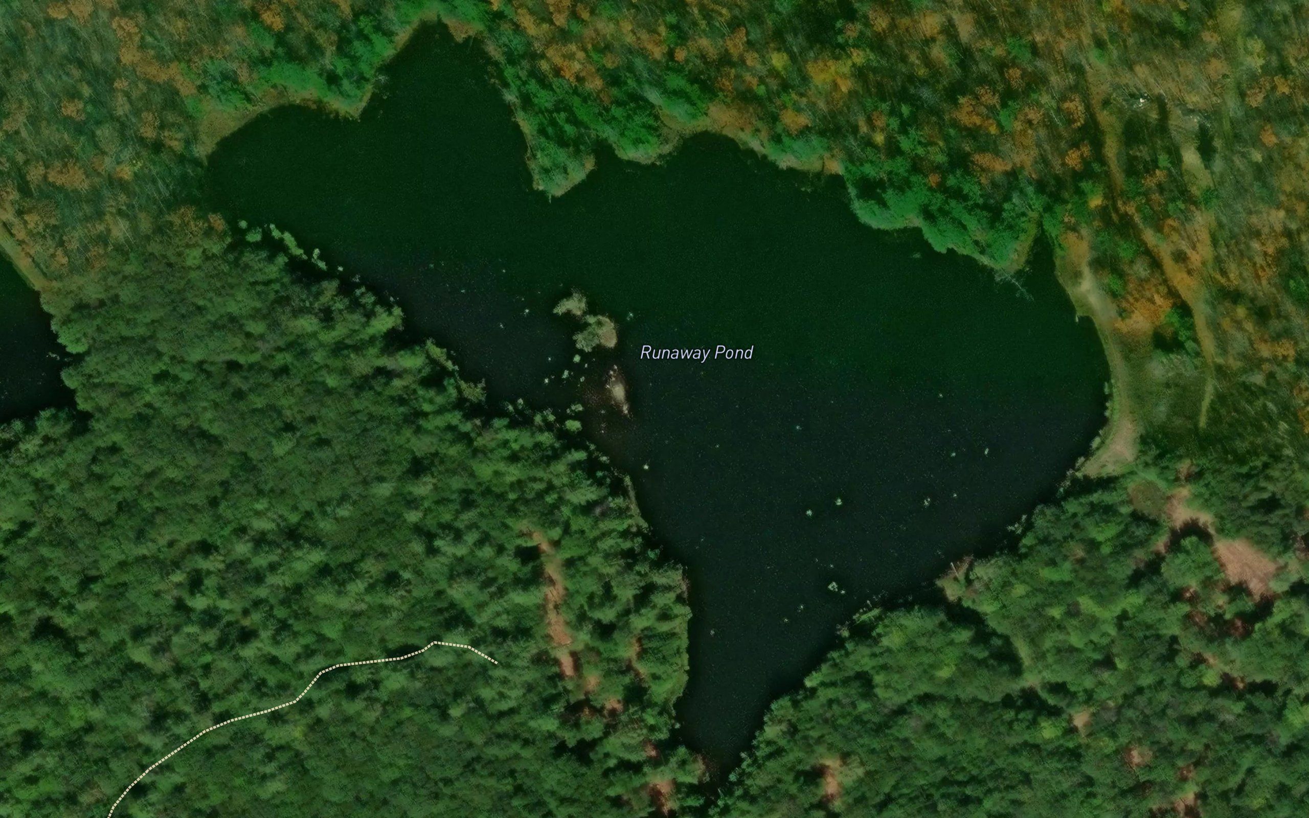Runaway Pond