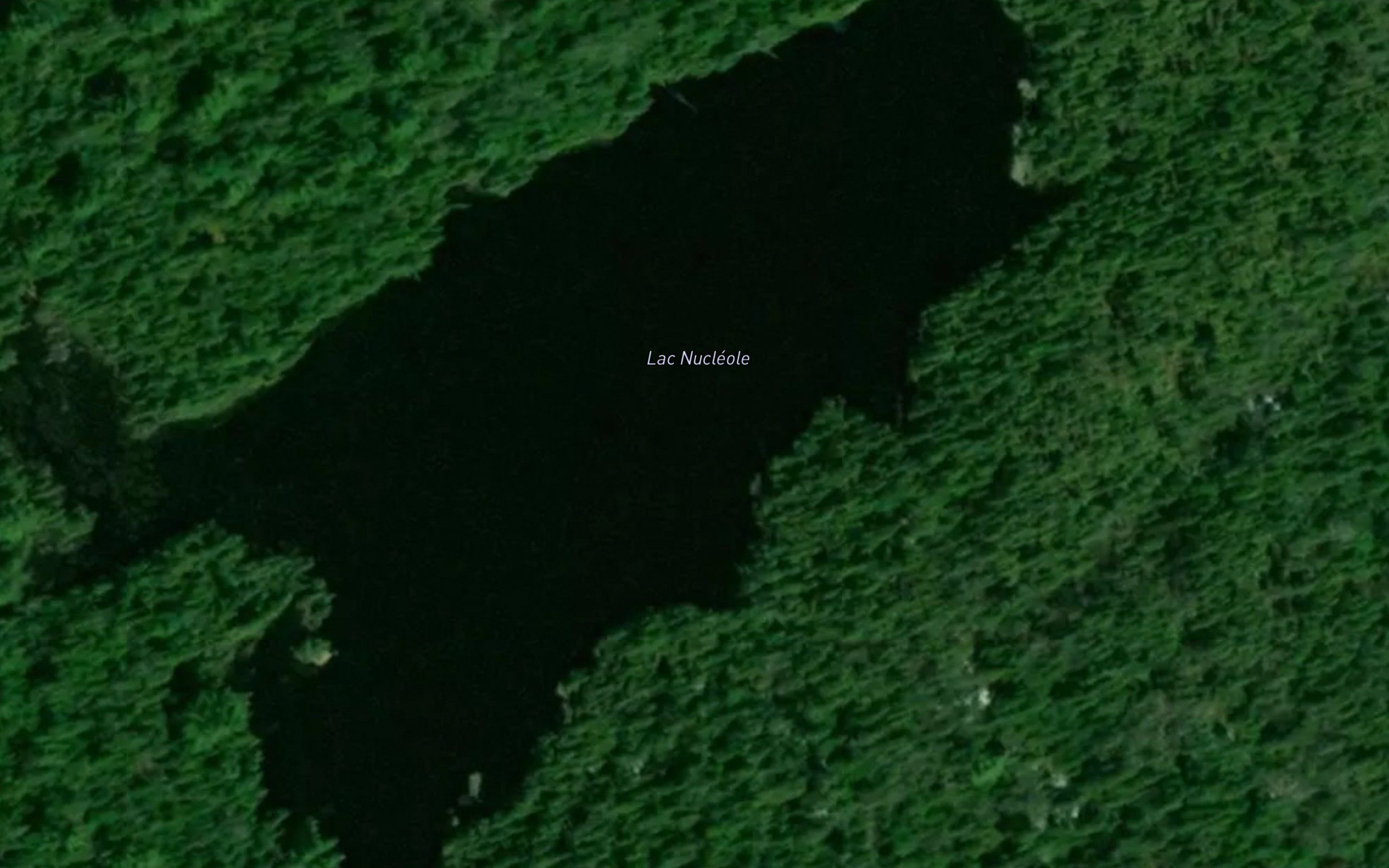 Lac Nucleole