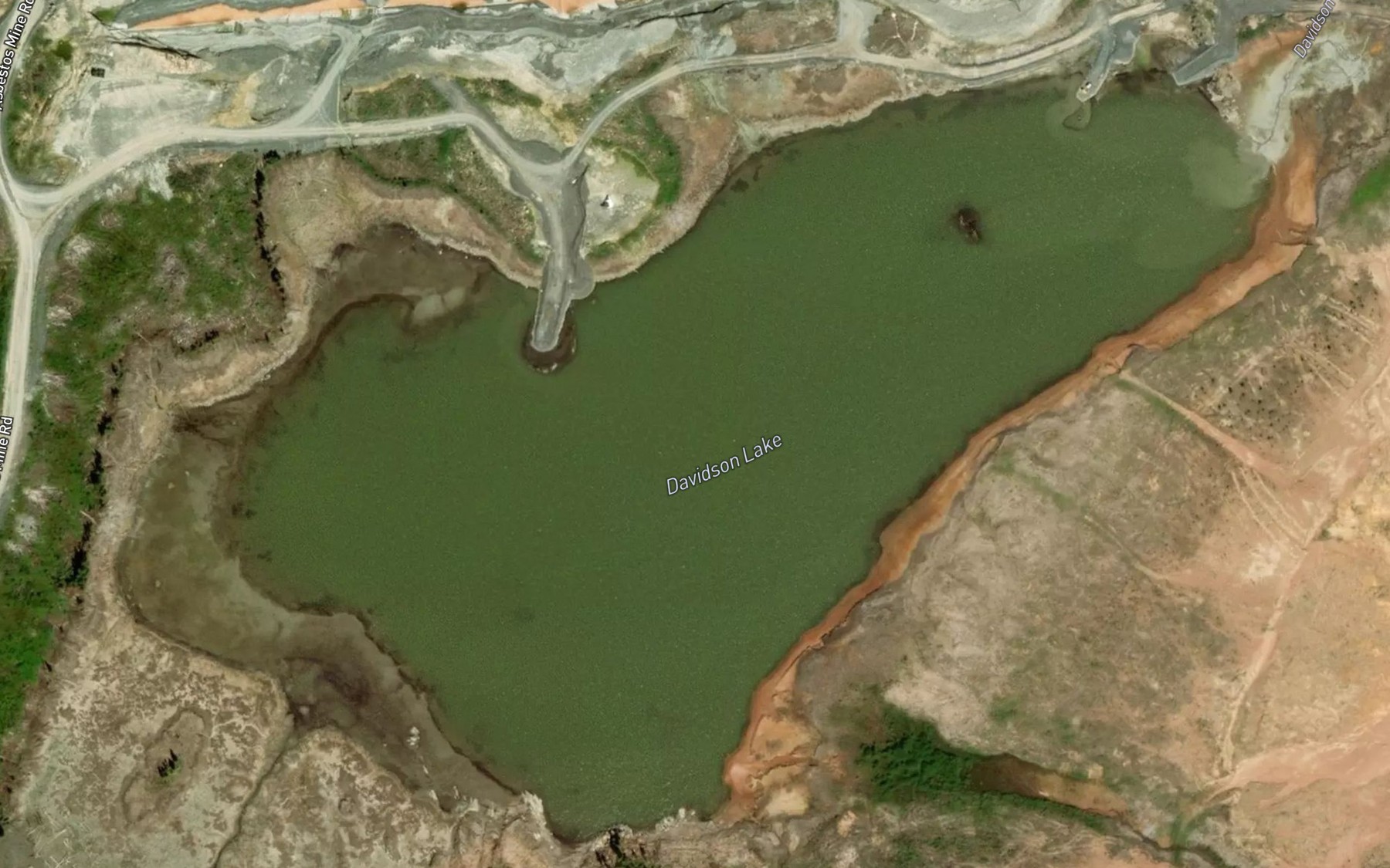 Satellite map of the Davidson Lake