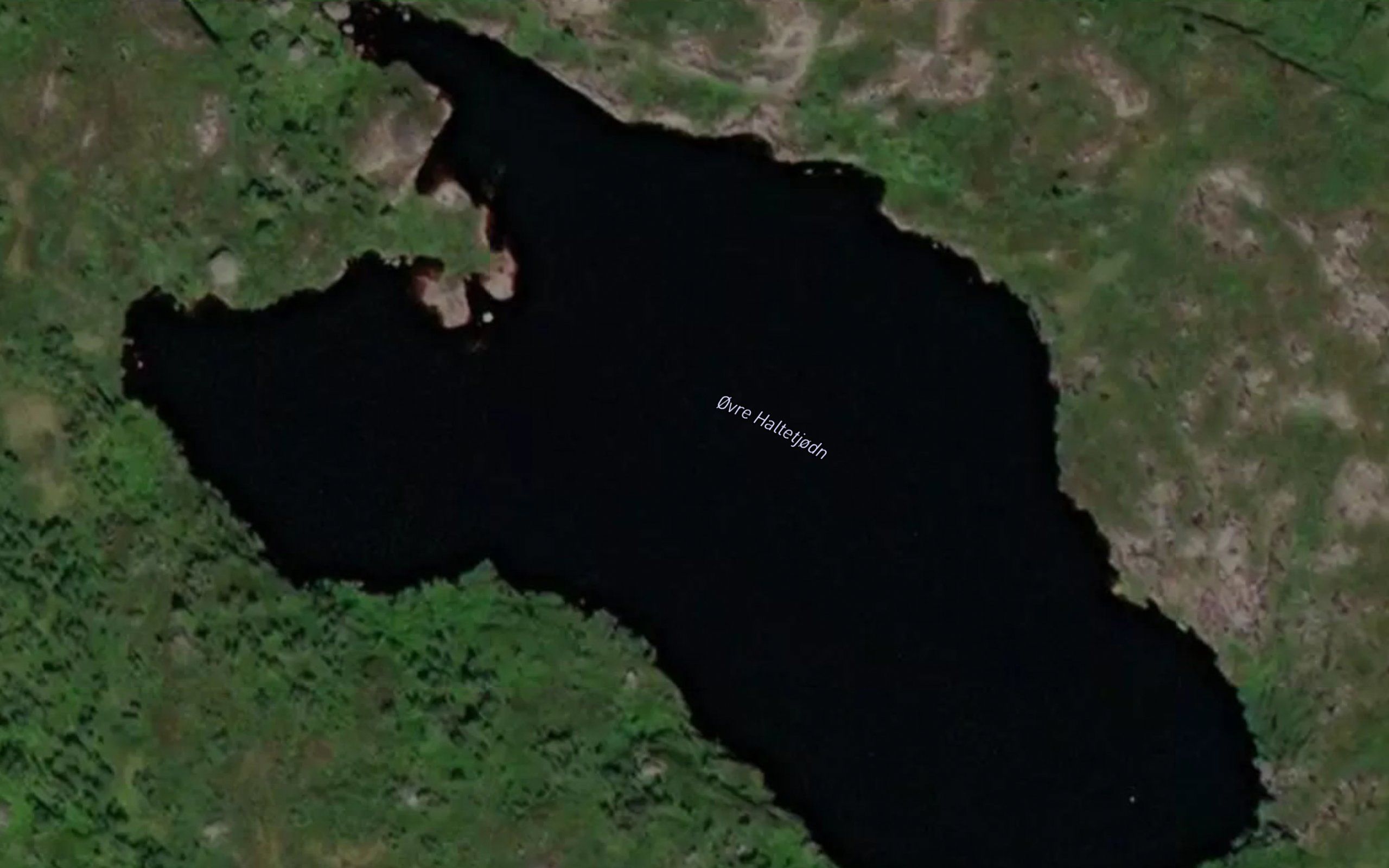 Haltetjornin