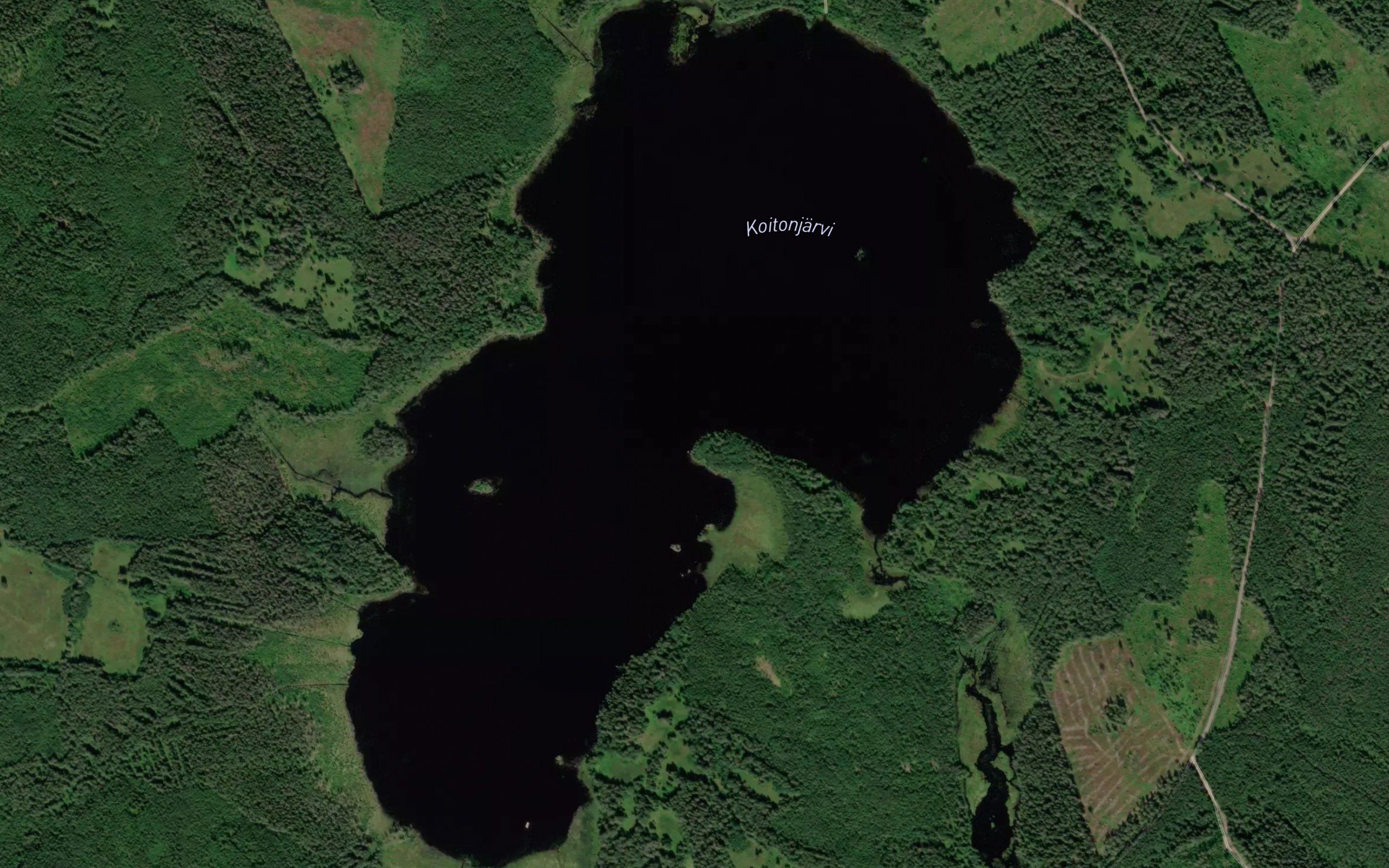 Koitonjaervi