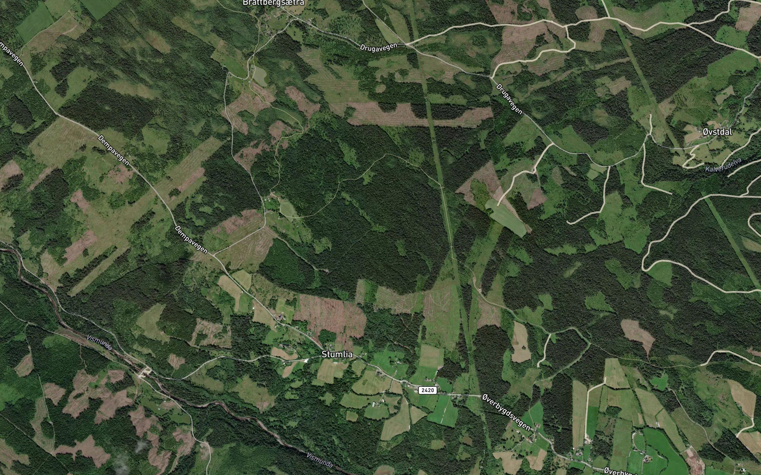 Haugbekken