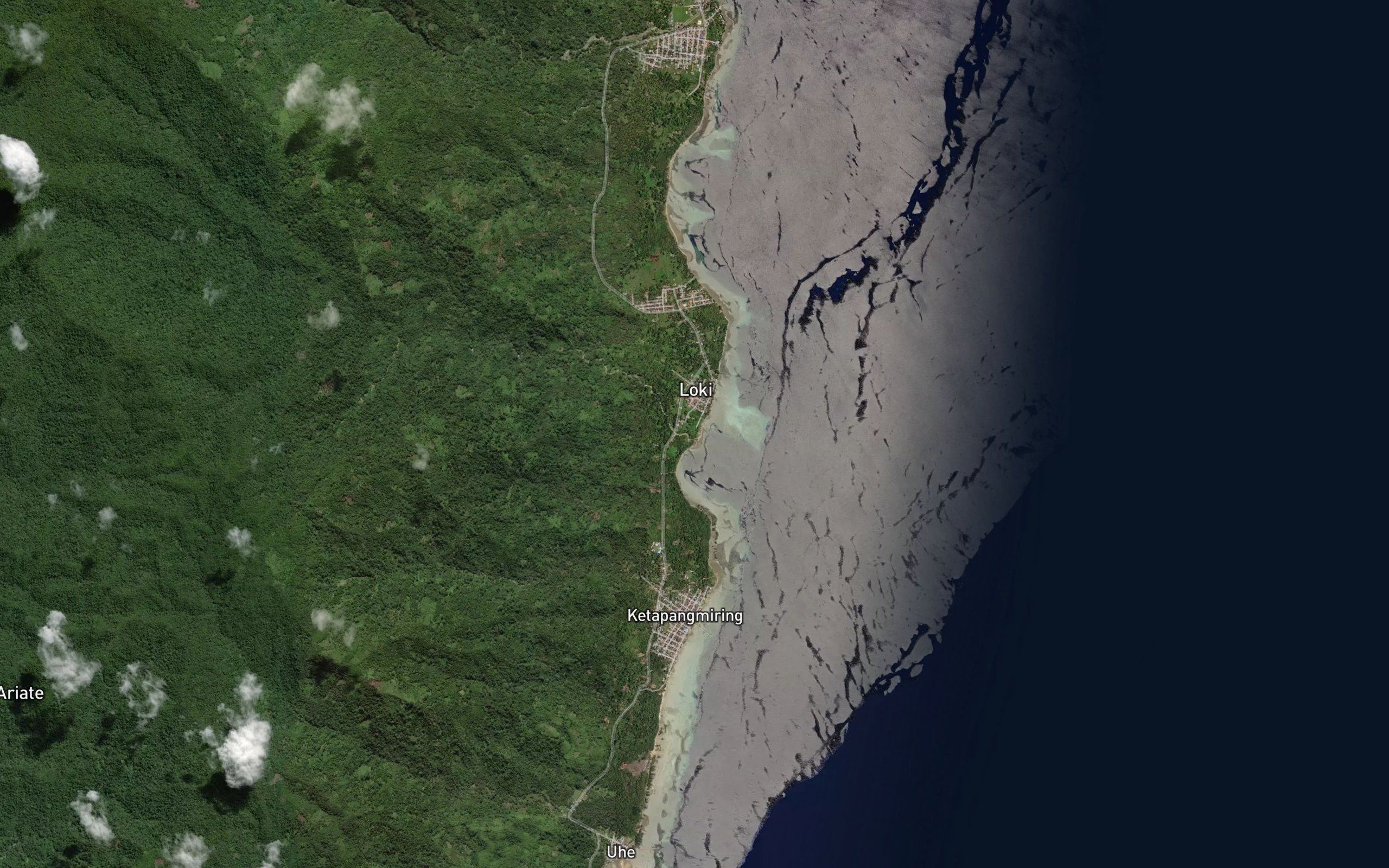 Wai Palapa