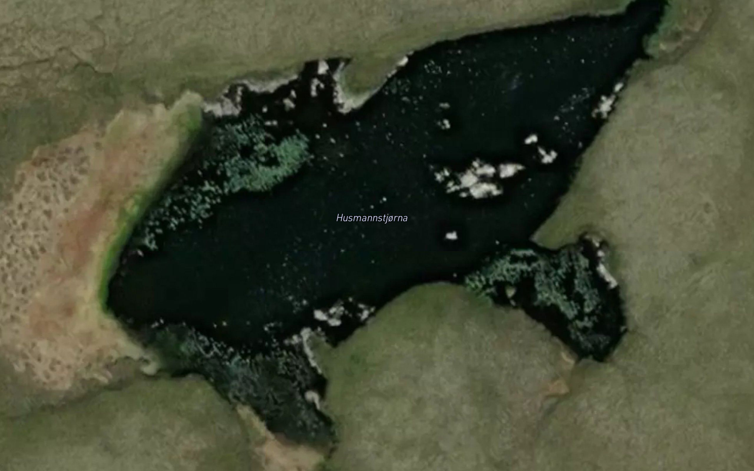Husmannstjorna