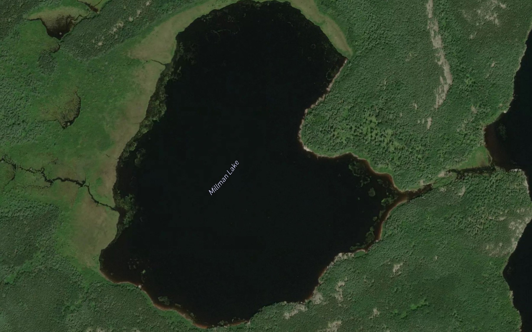 Satellite map of the Millman Lake