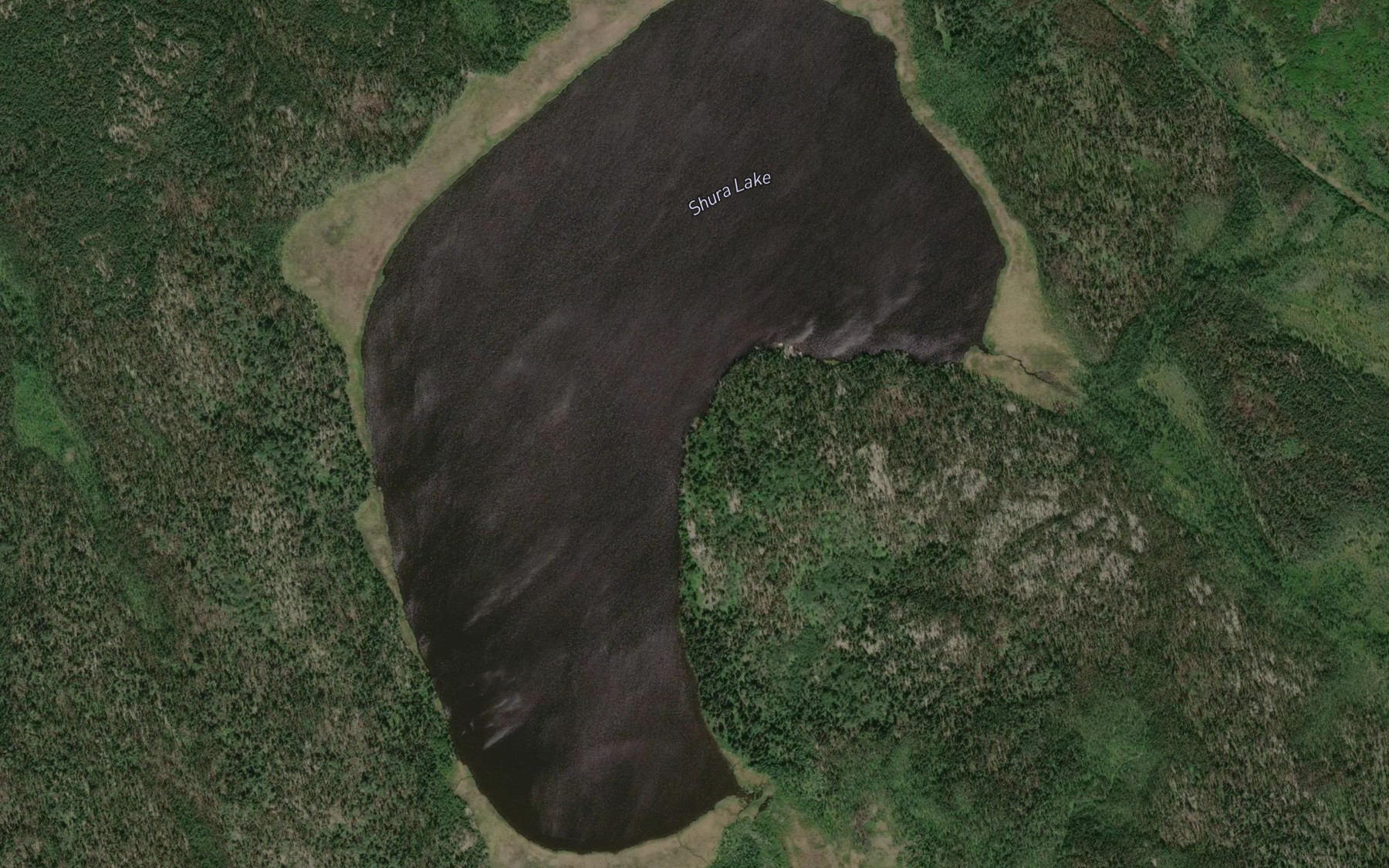 Satellite map of the Shura Lake